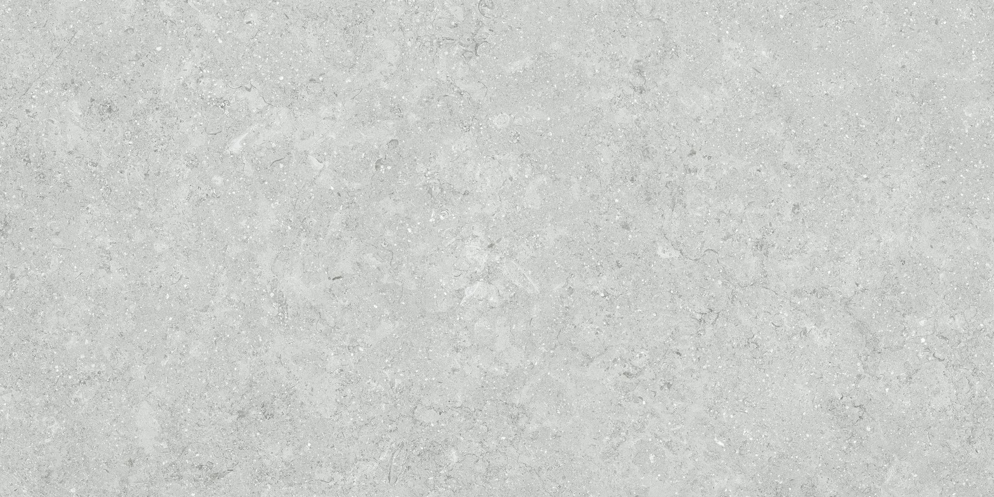Denver 12X24F Platinum Matte | Clon Digital Tile Catalog