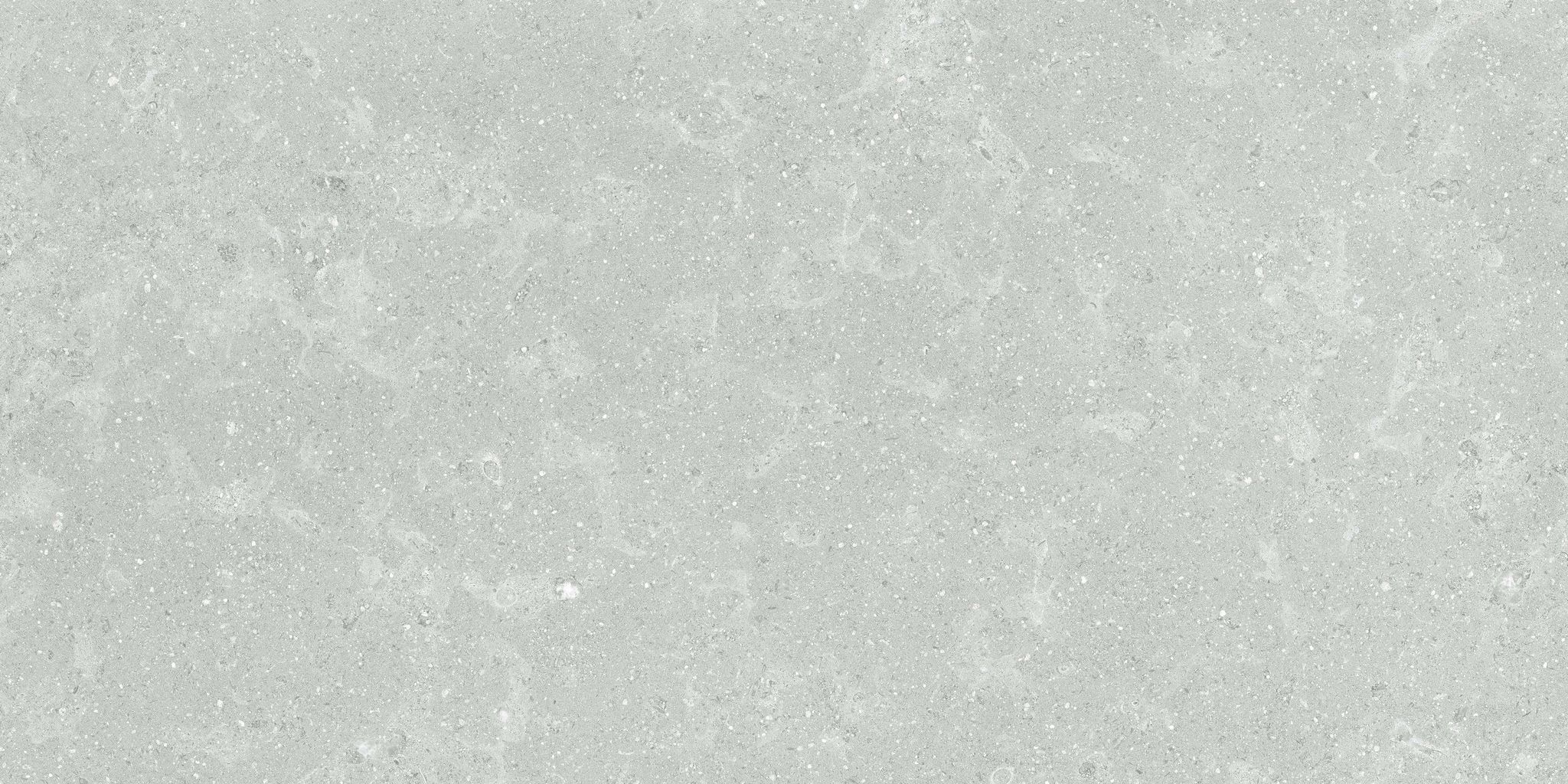 Denver 12X24F Platinum Matte | Clon Digital Tile Catalog