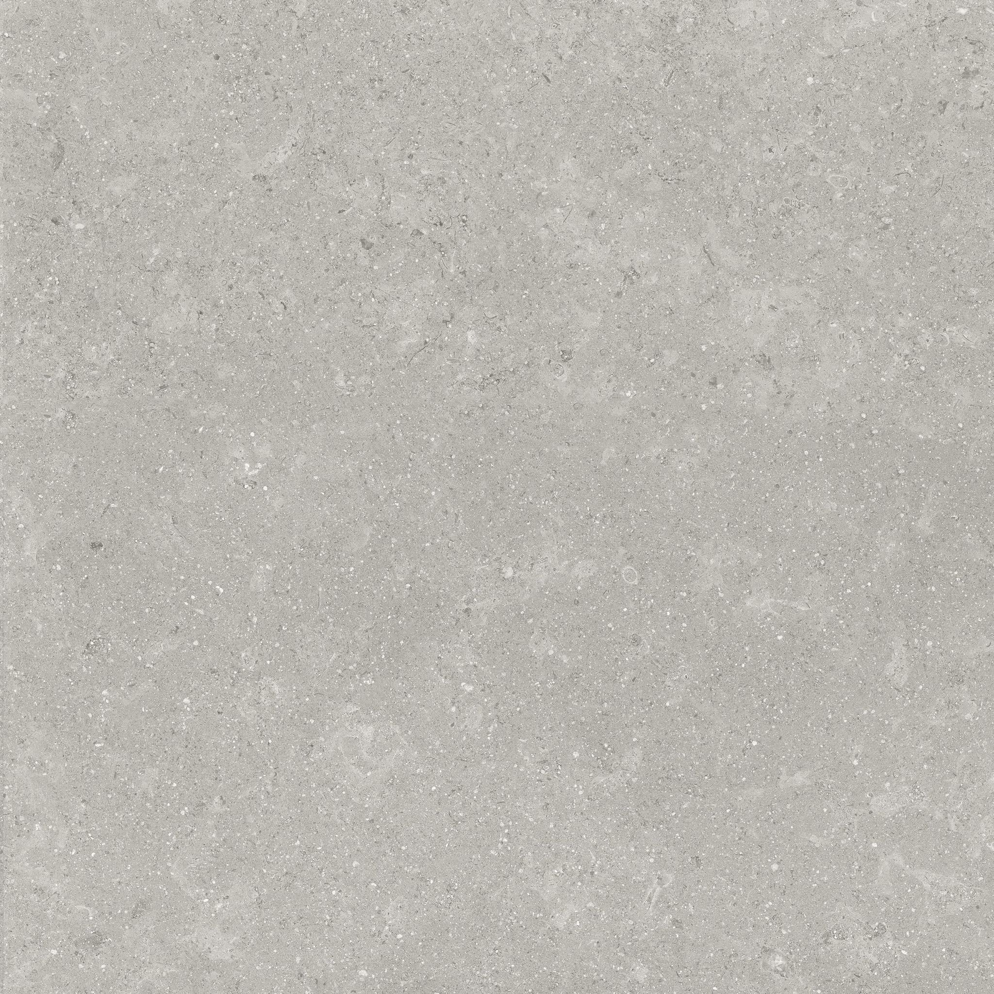 Denver 13X13F Graphite Matte | Clon Digital Tile Catalog