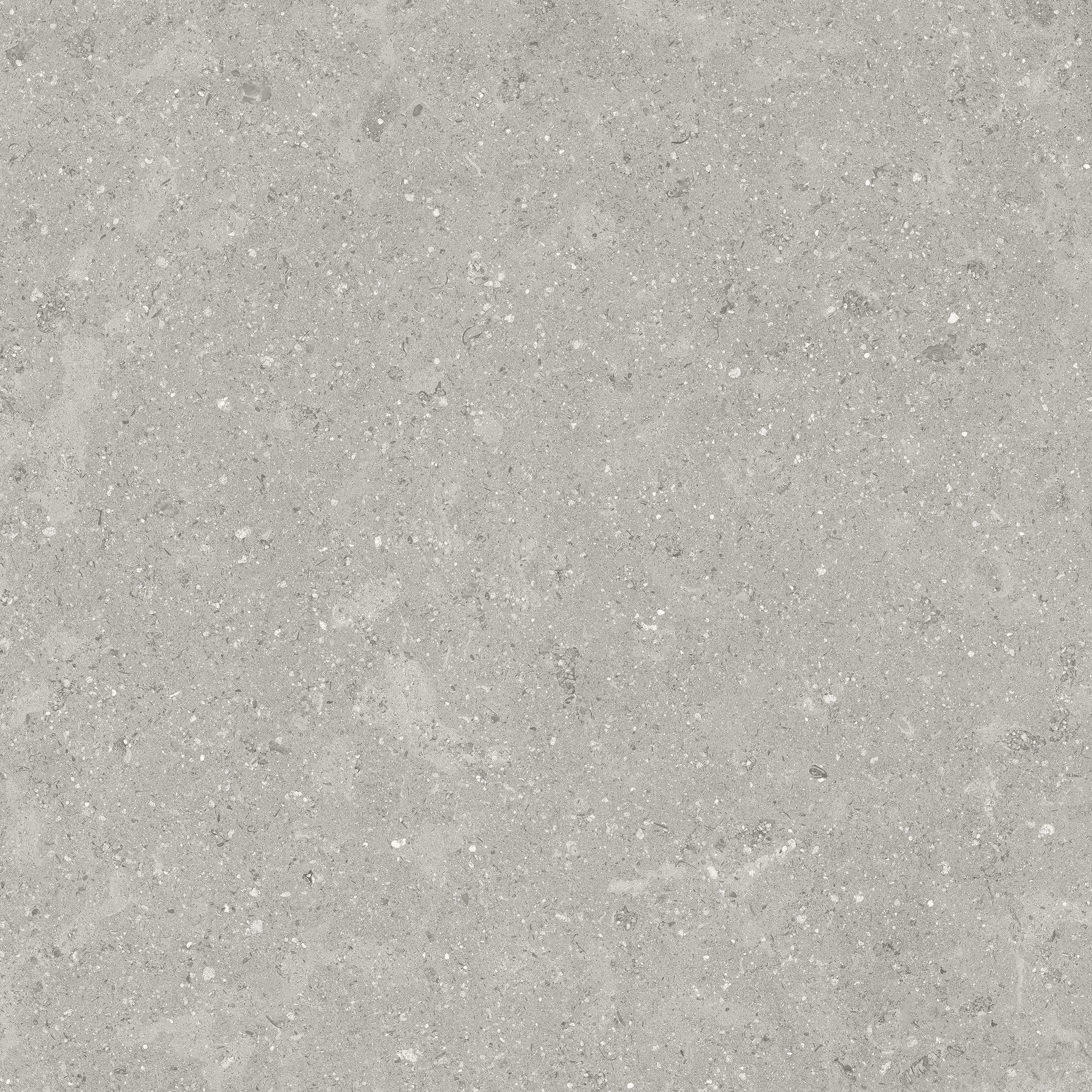 Denver 13X13F Graphite Matte | Clon Digital Tile Catalog