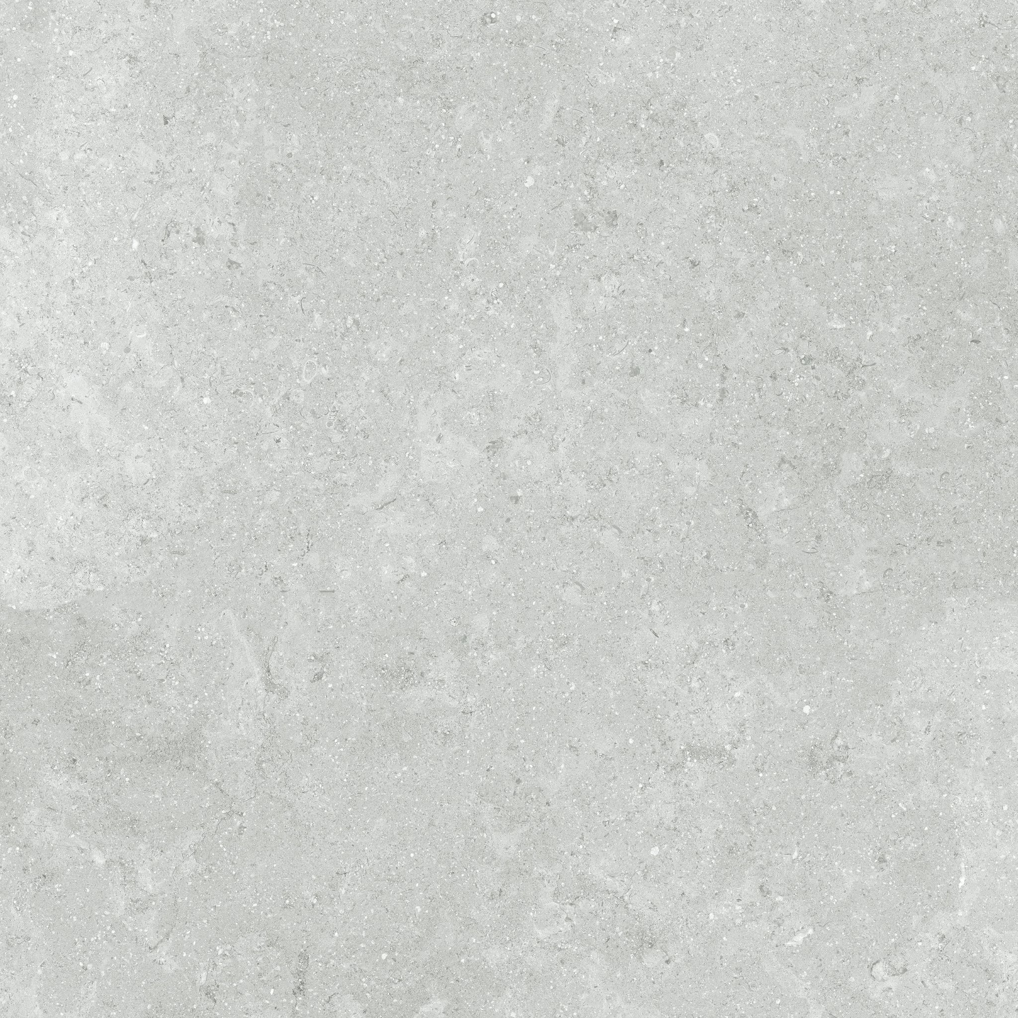 Denver 13X13F Platinum Matte | Clon Digital Tile Catalog