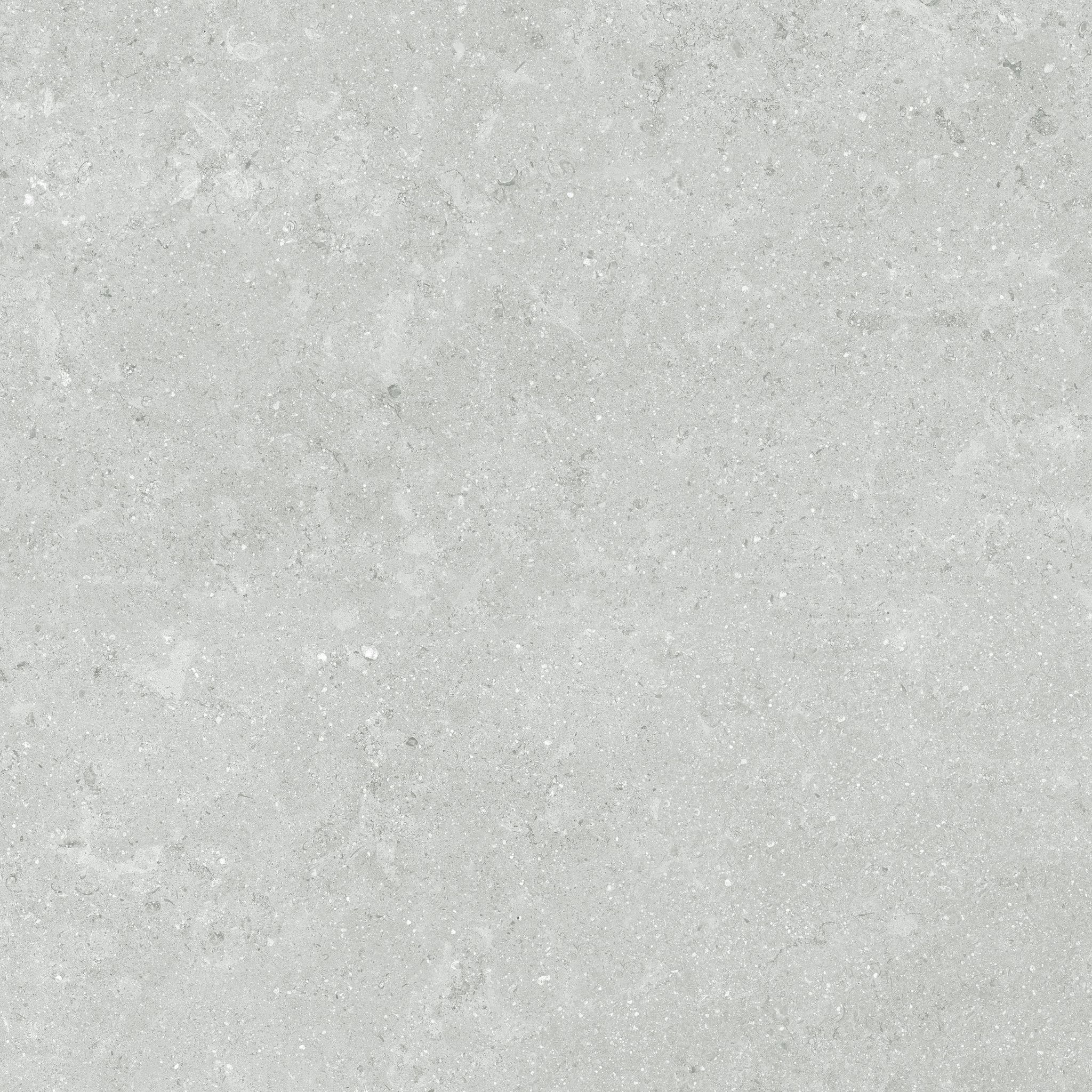 Denver 13X13F Platinum Matte | Clon Digital Tile Catalog