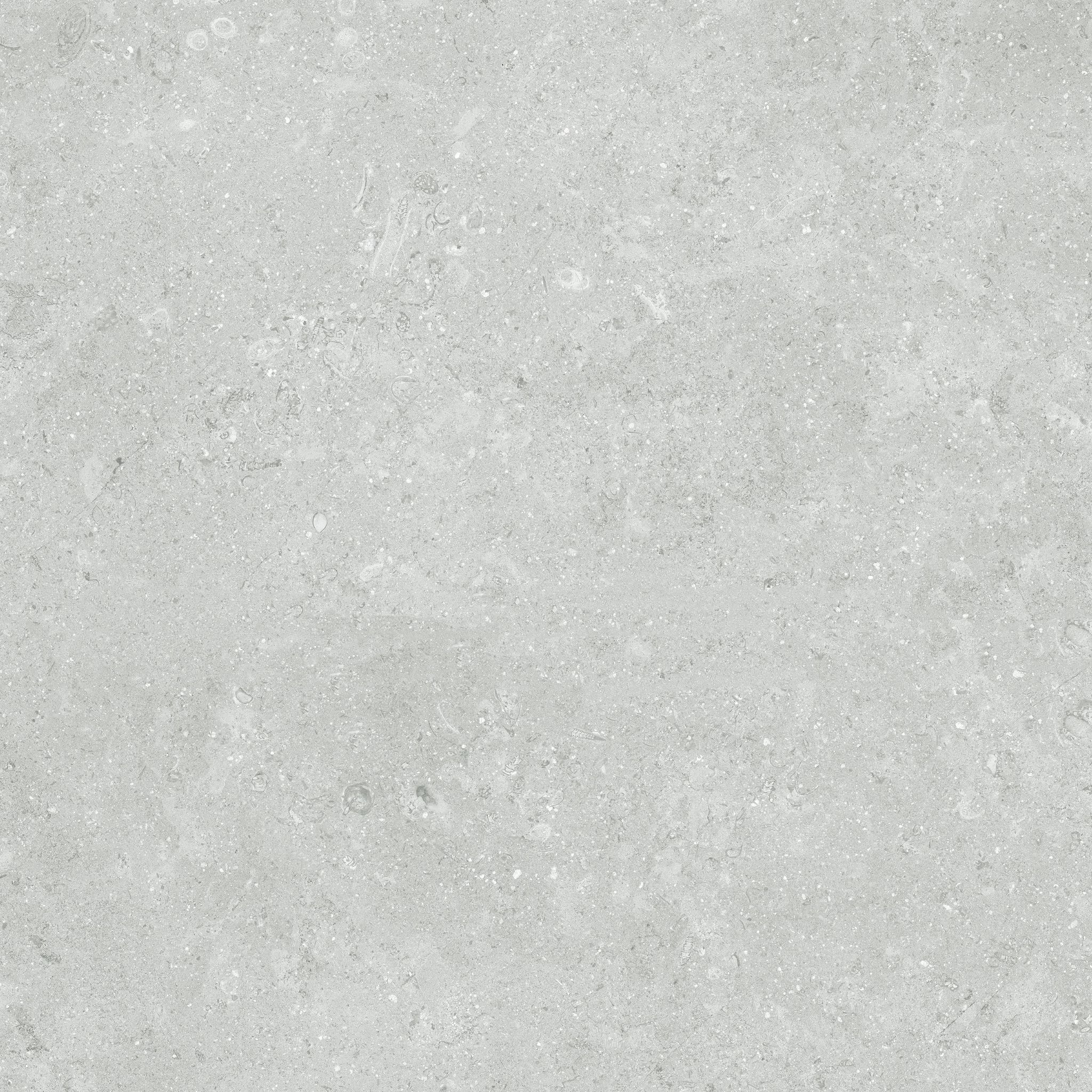 Denver 13X13F Platinum Matte | Clon Digital Tile Catalog