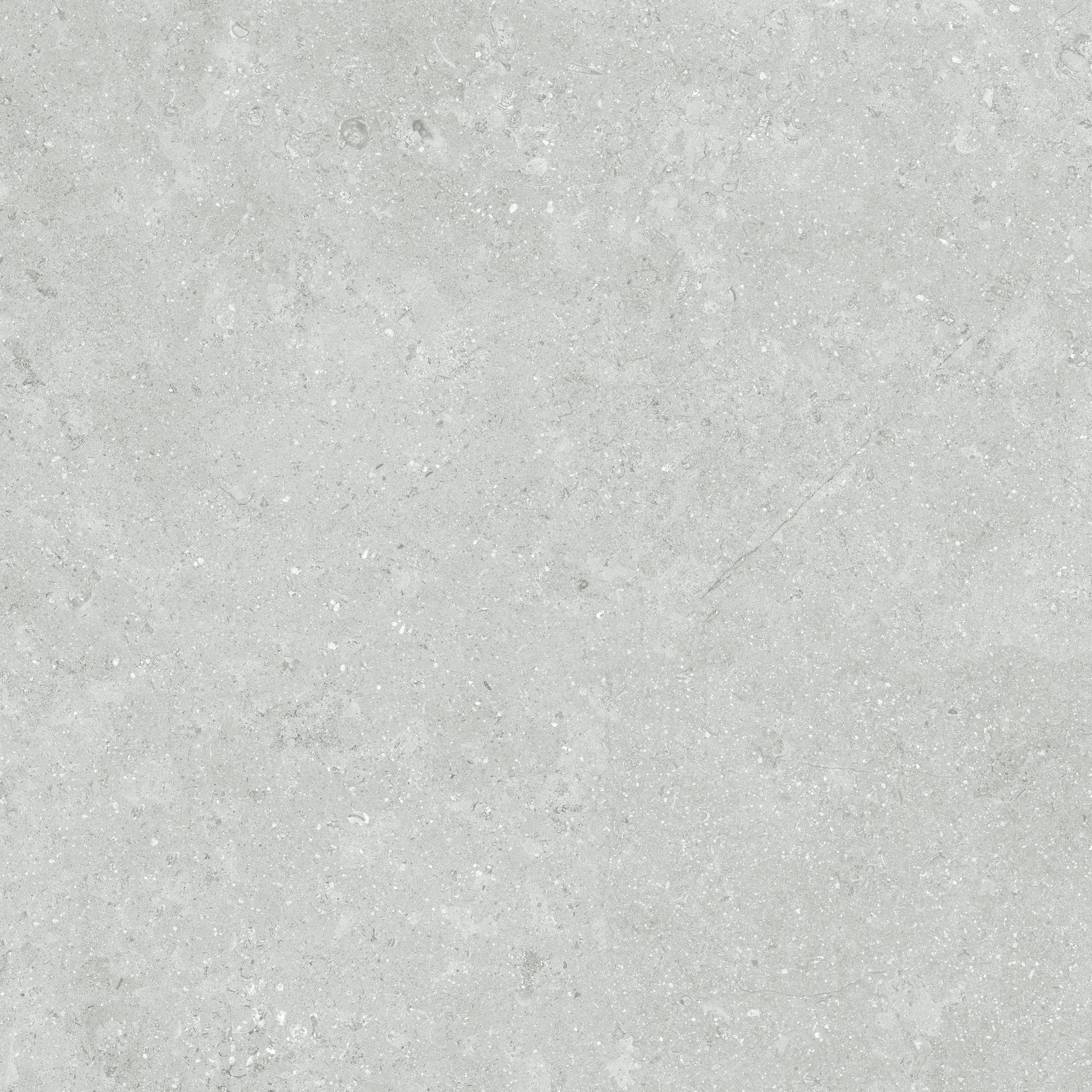 Denver 13X13F Platinum Matte | Clon Digital Tile Catalog