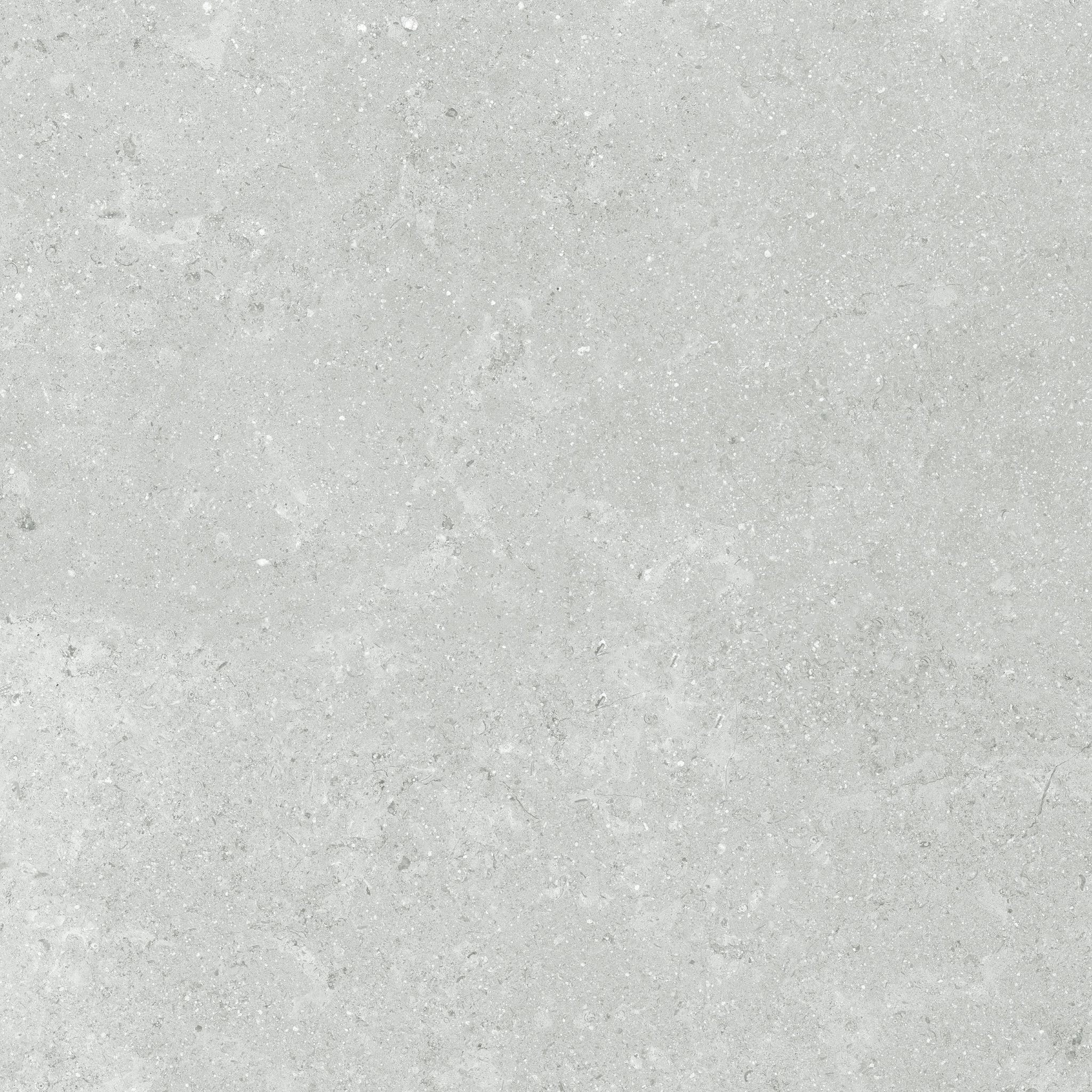 Denver 13X13F Platinum Matte | Clon Digital Tile Catalog