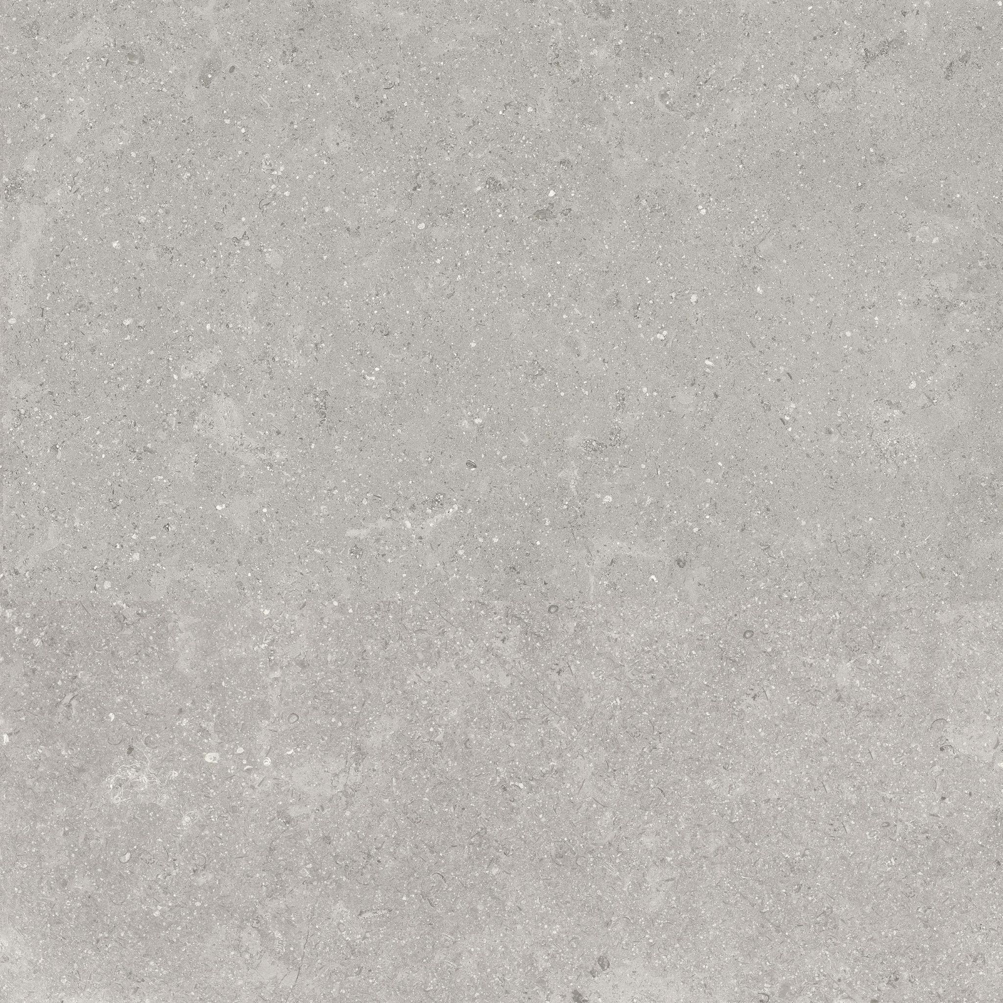 Denver 20X20F Graphite Matte | Clon Digital Tile Catalog