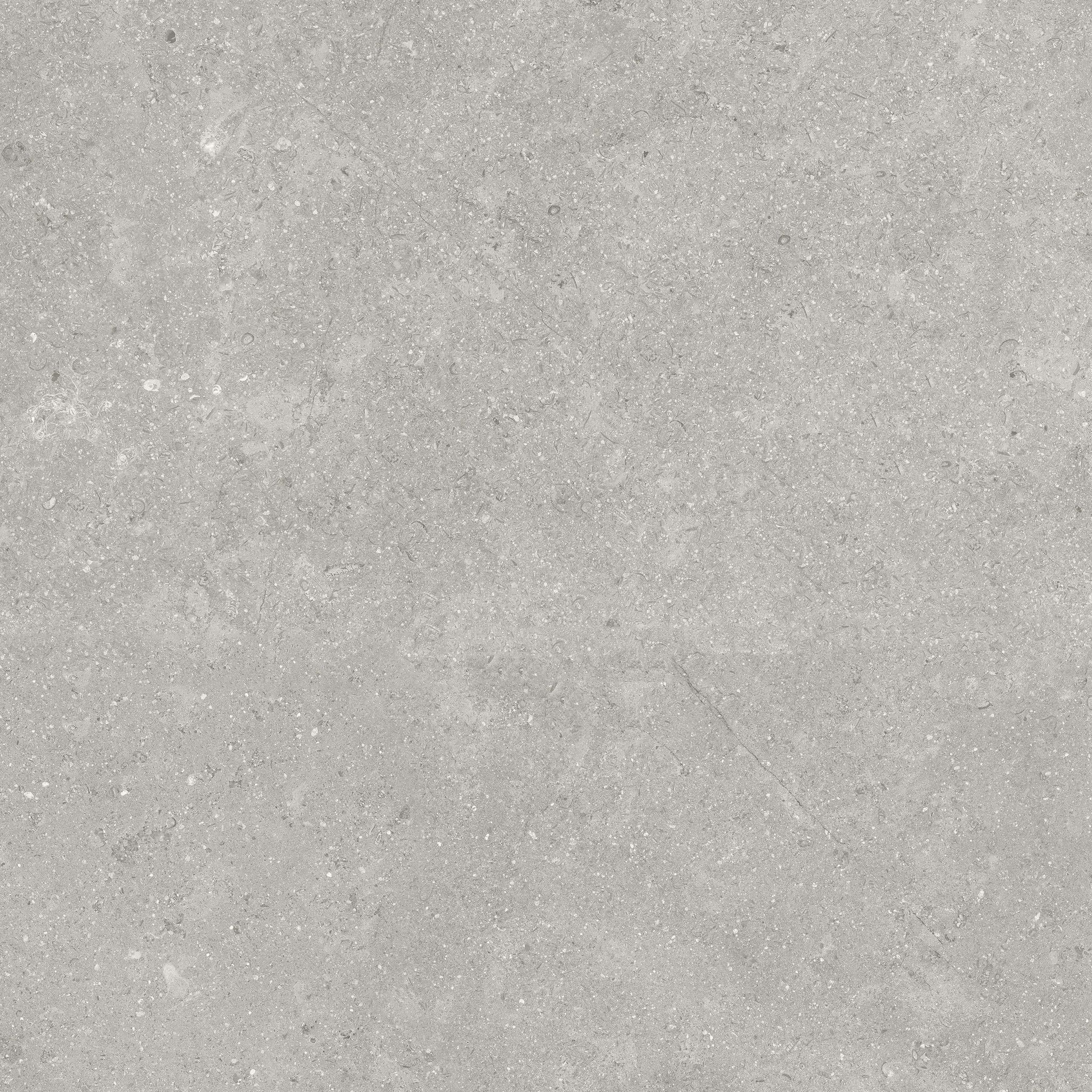 Denver 20X20F Graphite Matte | Clon Digital Tile Catalog