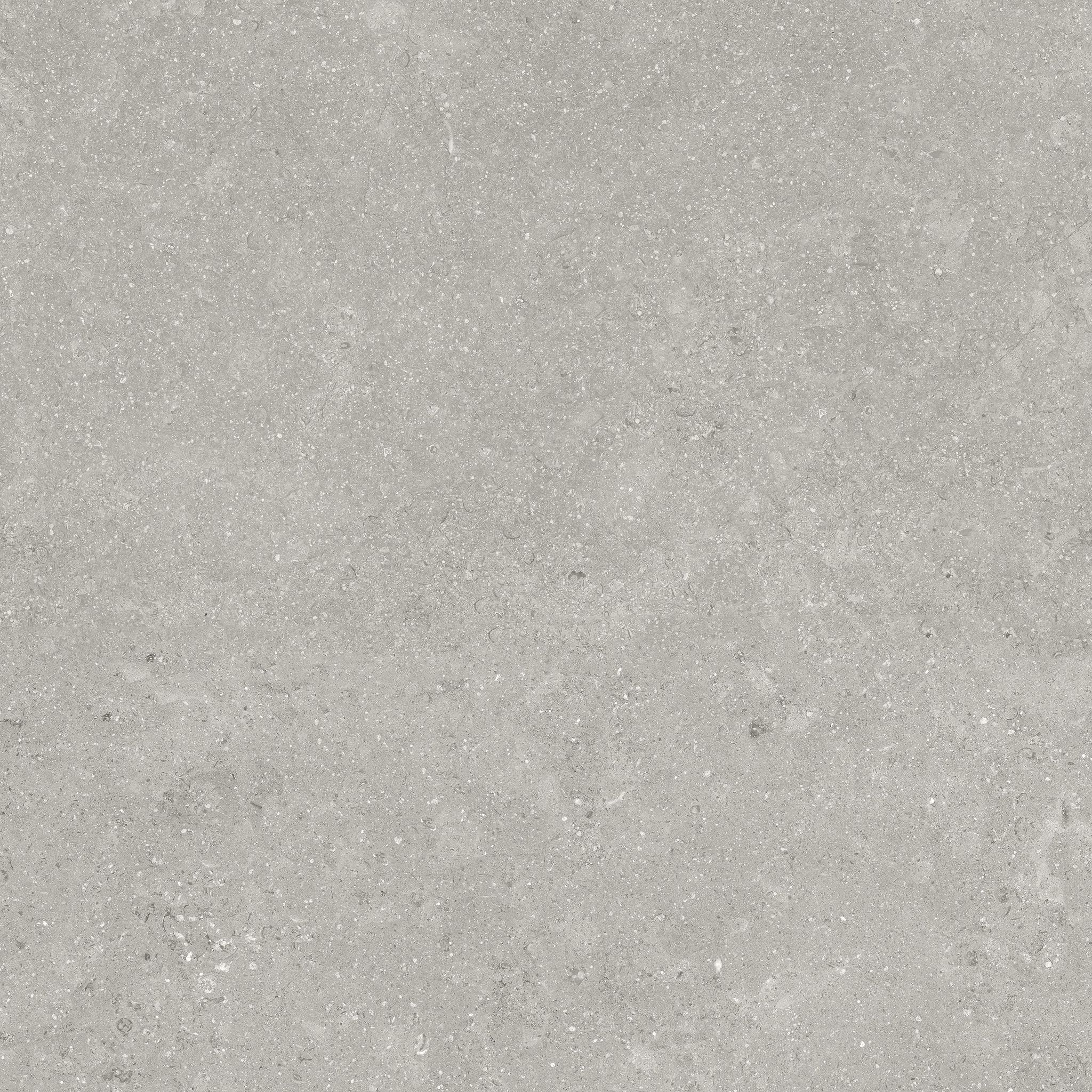 Denver 20X20F Graphite Matte | Clon Digital Tile Catalog