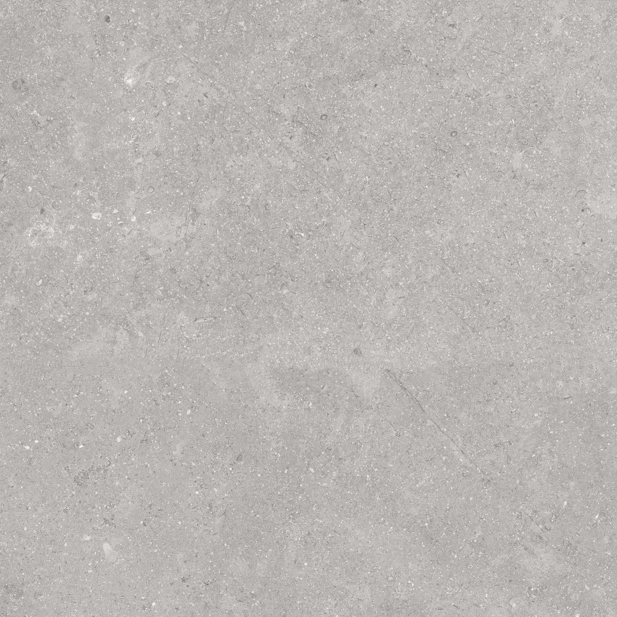 Denver 20X20F Graphite Matte | Clon Digital Tile Catalog