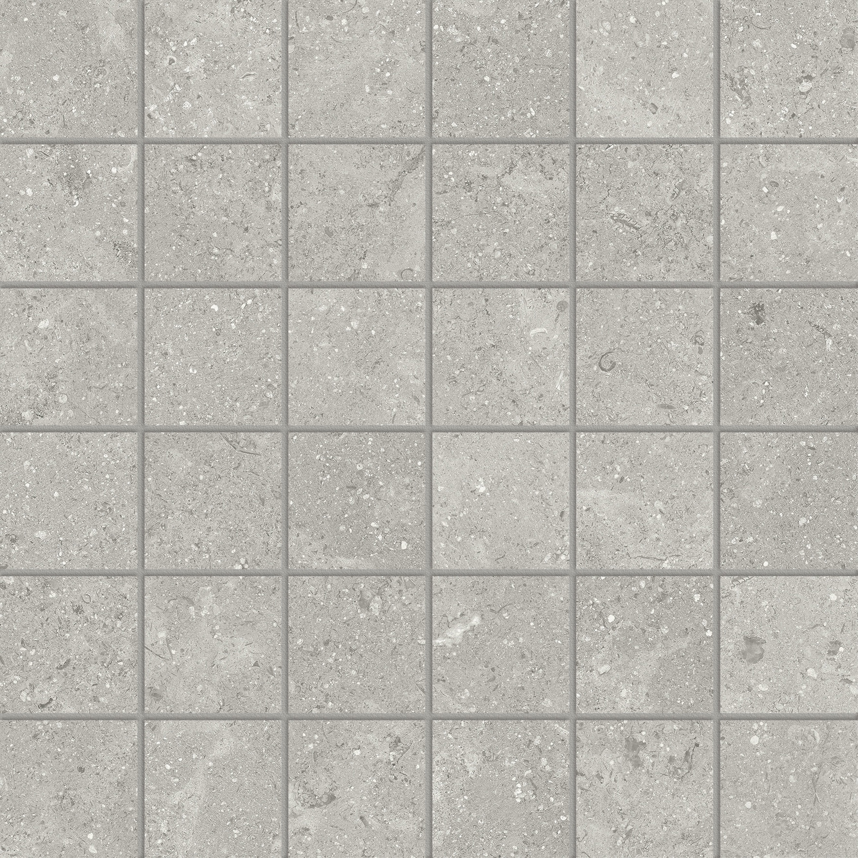 Denver 2X2 Mosaic Graphite Matte | Clon Digital Tile Catalog