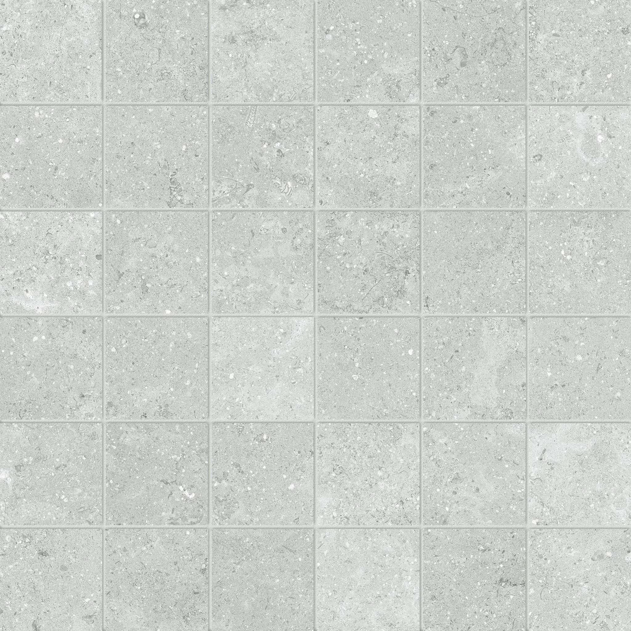 Denver 2X2 Mosaic Platinum Matte | Clon Digital Tile Catalog