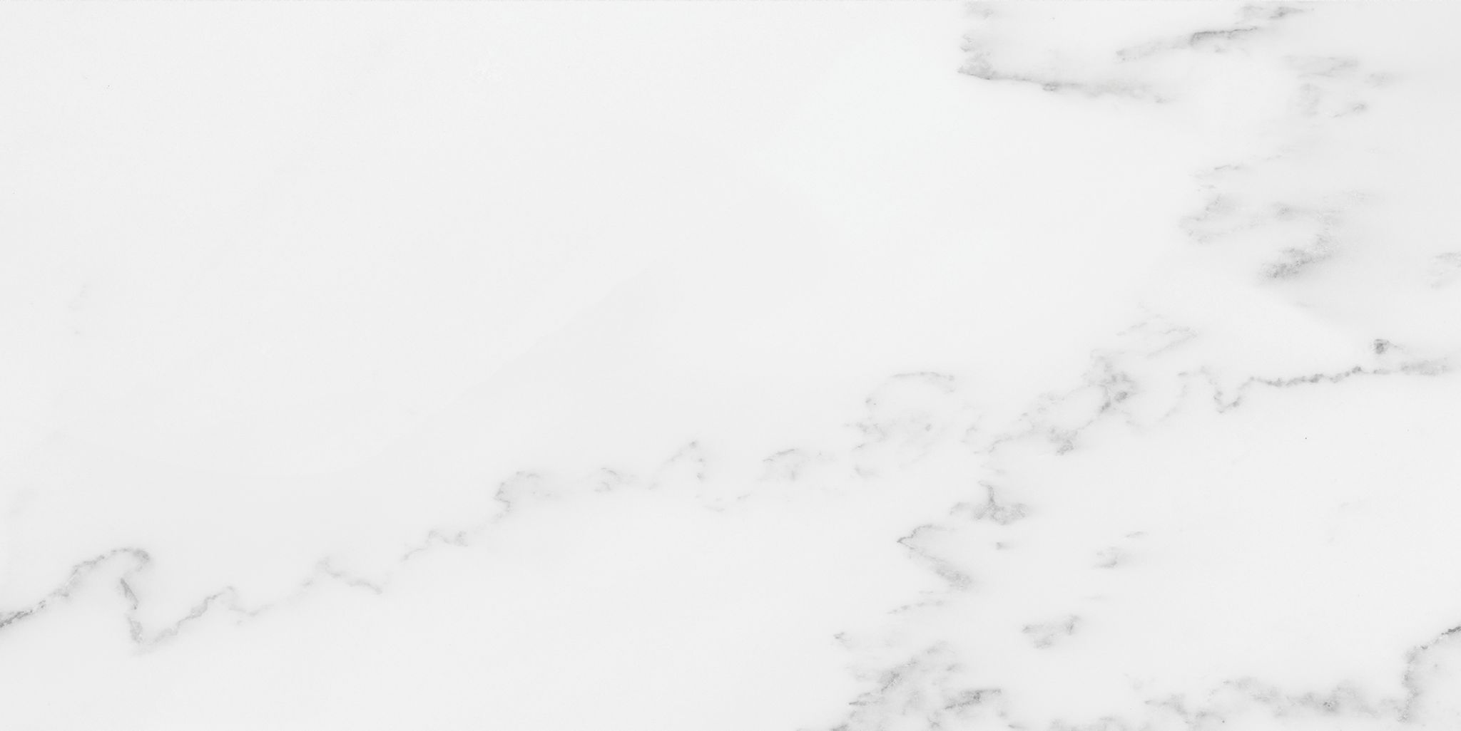 Florence 12X24F Bianco Texture | Clon Digital Tile Catalog