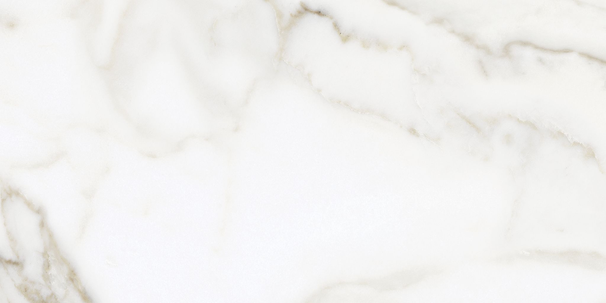 Florence 12X24F Calacatta Matte | Clon Digital Tile Catalog