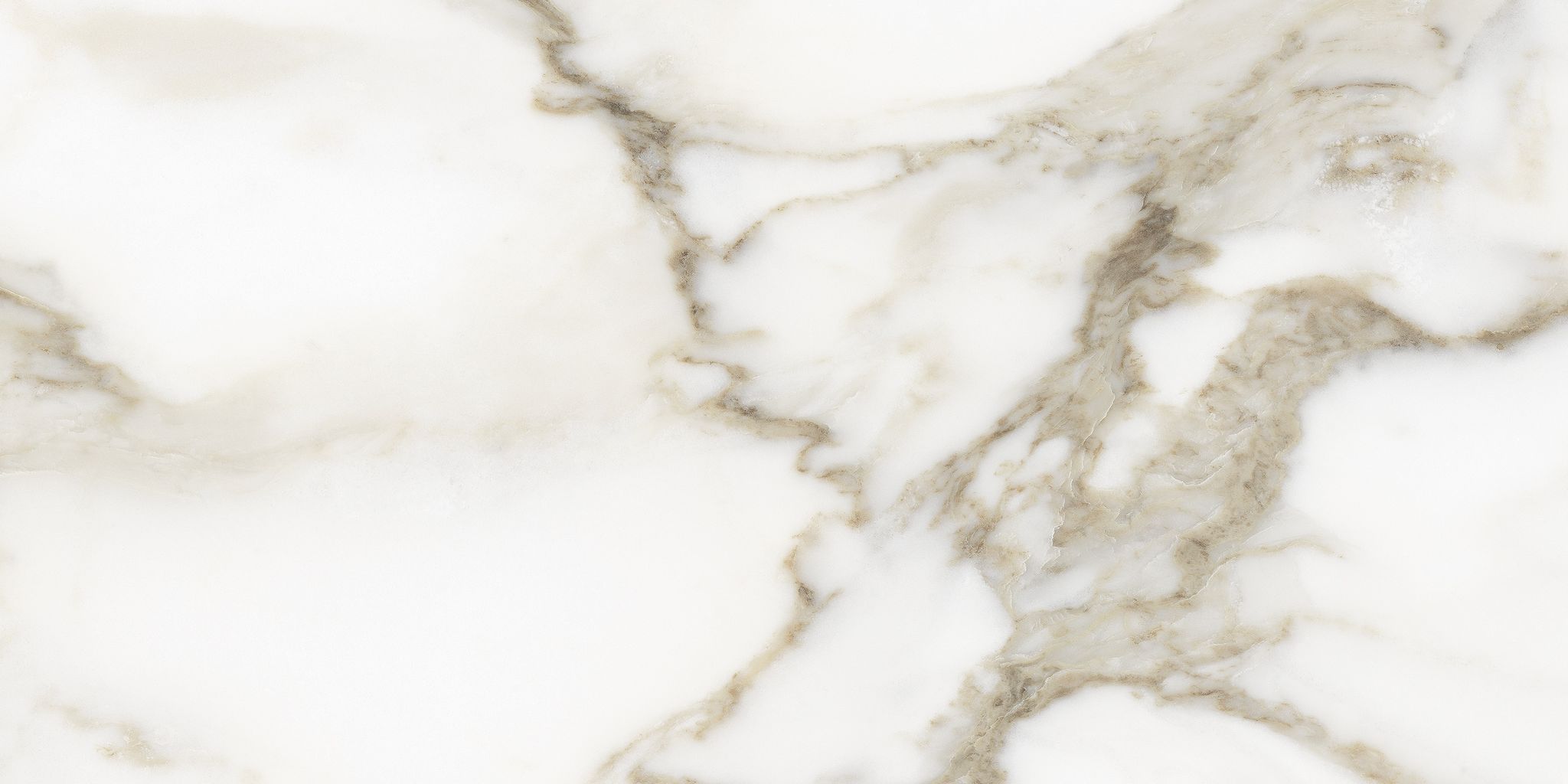 Florence 12X24F Calacatta Matte | Clon Digital Tile Catalog