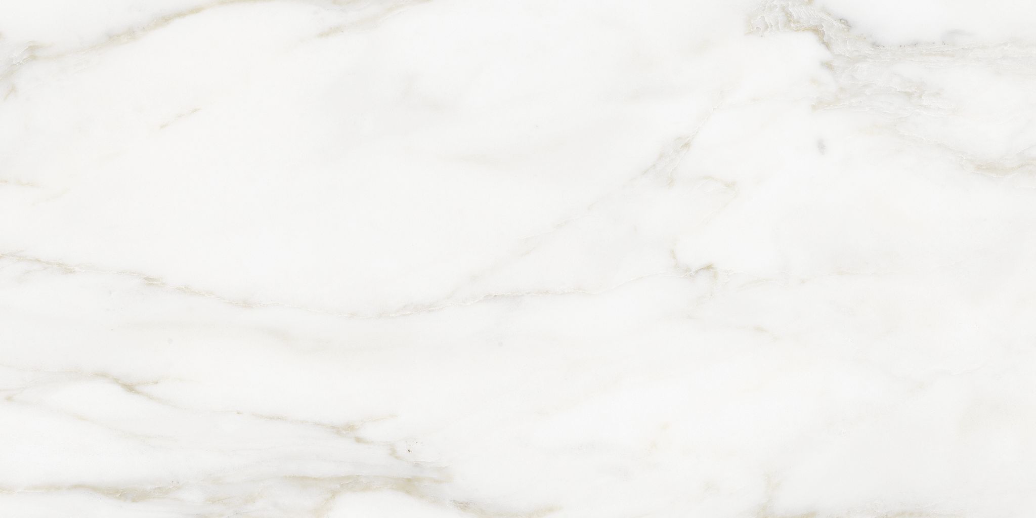 Florence 12X24F Calacatta Texture | Clon Digital Tile Catalog