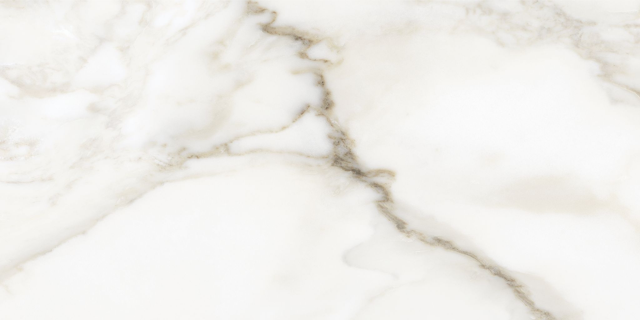 Florence 12X24F Calacatta Texture | Clon Digital Tile Catalog