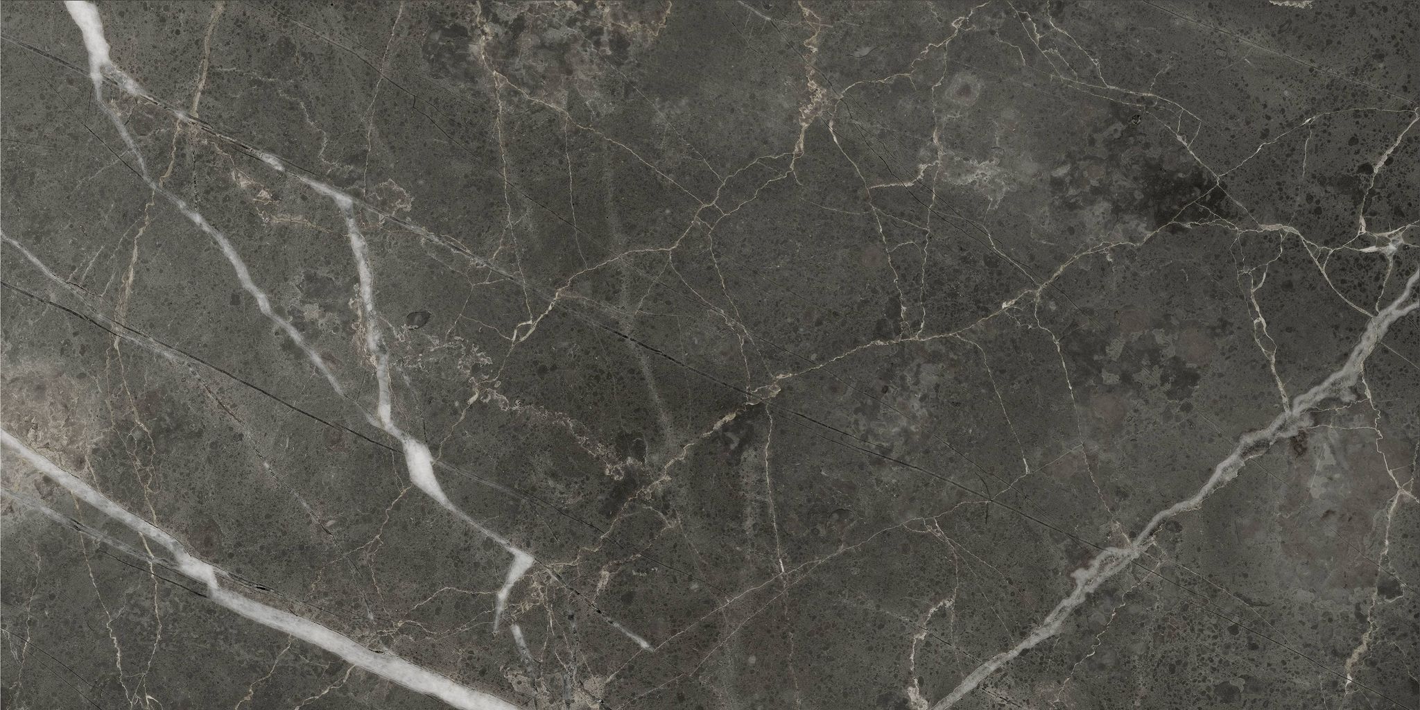 Florence 12X24F Carbon Matte | Clon Digital Tile Catalog