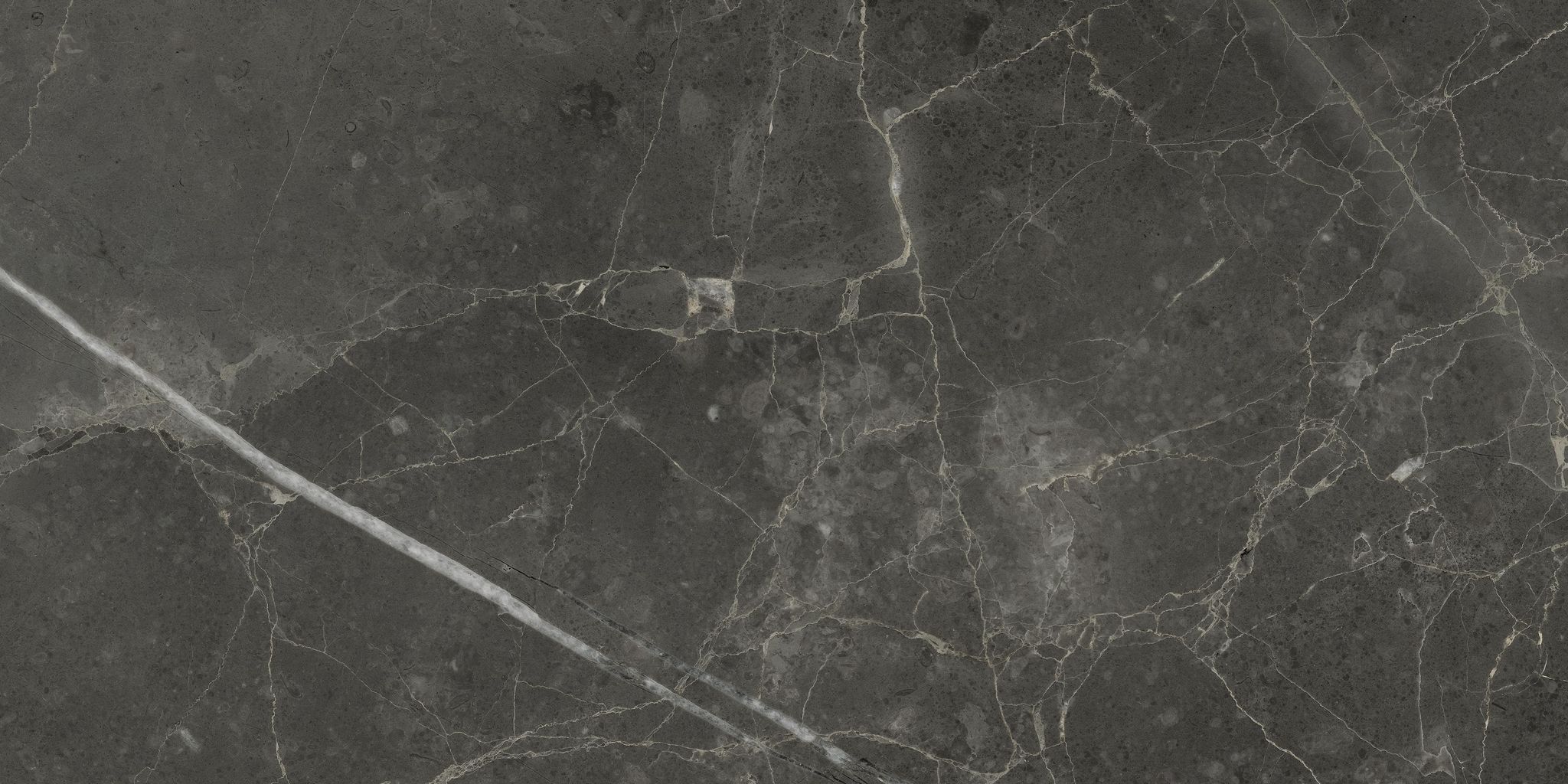 Florence 12X24F Carbon Matte | Clon Digital Tile Catalog