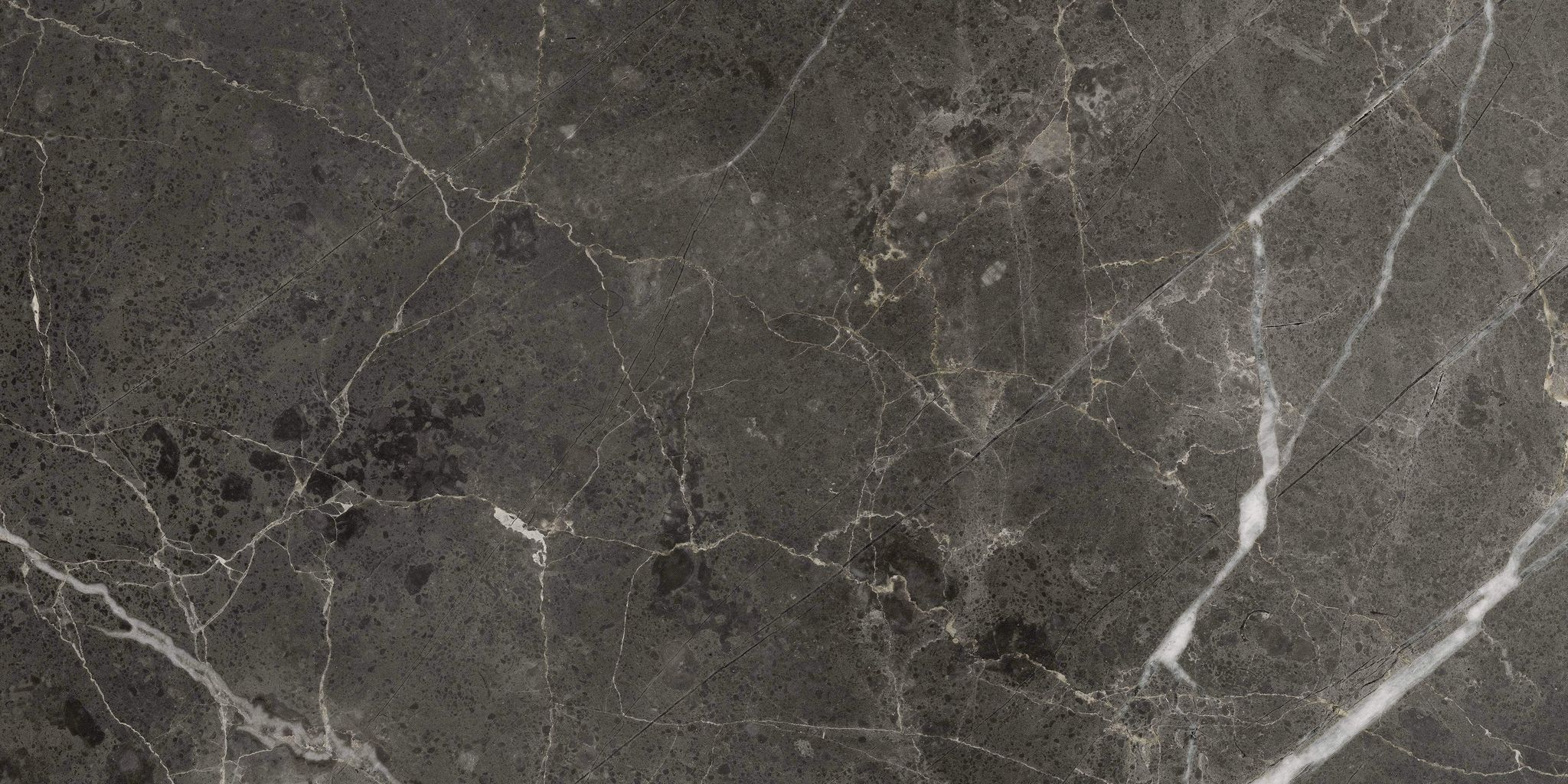 Florence 12X24F Carbon Matte | Clon Digital Tile Catalog