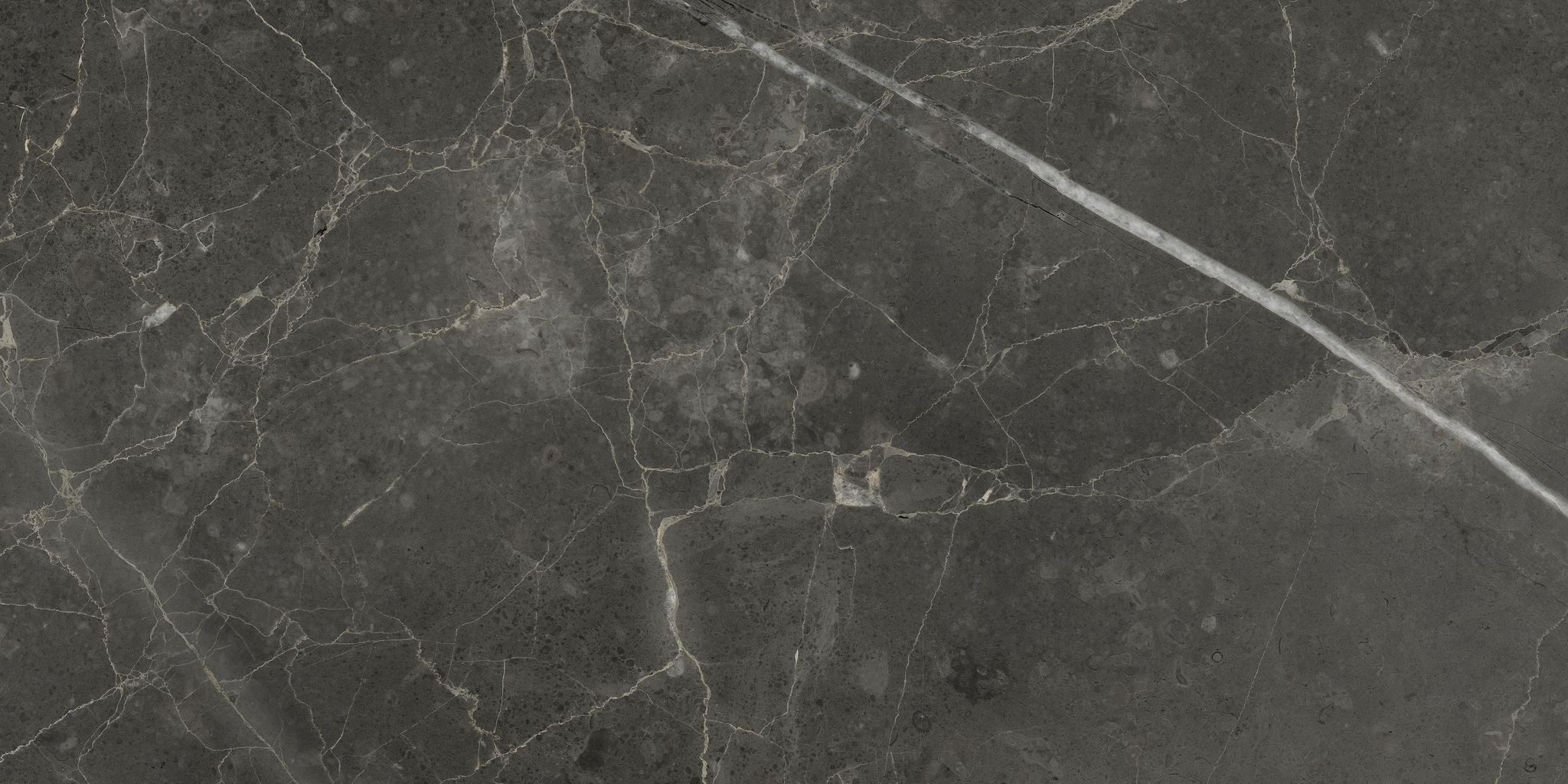 Florence 12X24F Carbon Matte | Clon Digital Tile Catalog