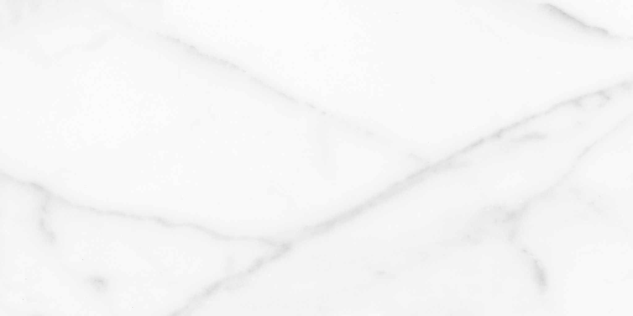 Florence 12X24F Statuario Matte | Clon Digital Tile Catalog