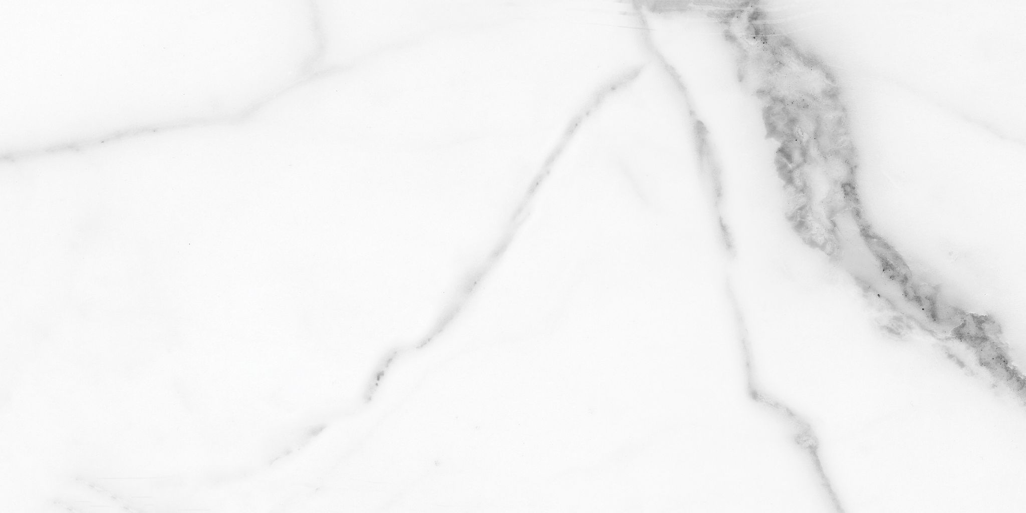 Florence 12X24F Statuario Matte | Clon Digital Tile Catalog