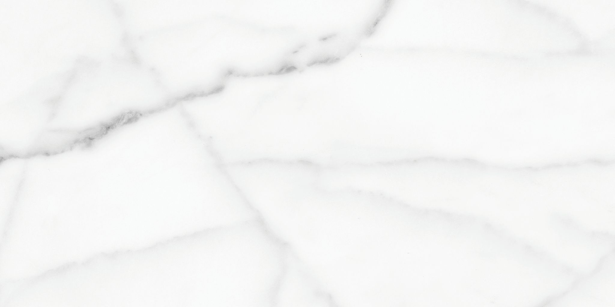 Florence 12X24F Statuario Matte | Clon Digital Tile Catalog