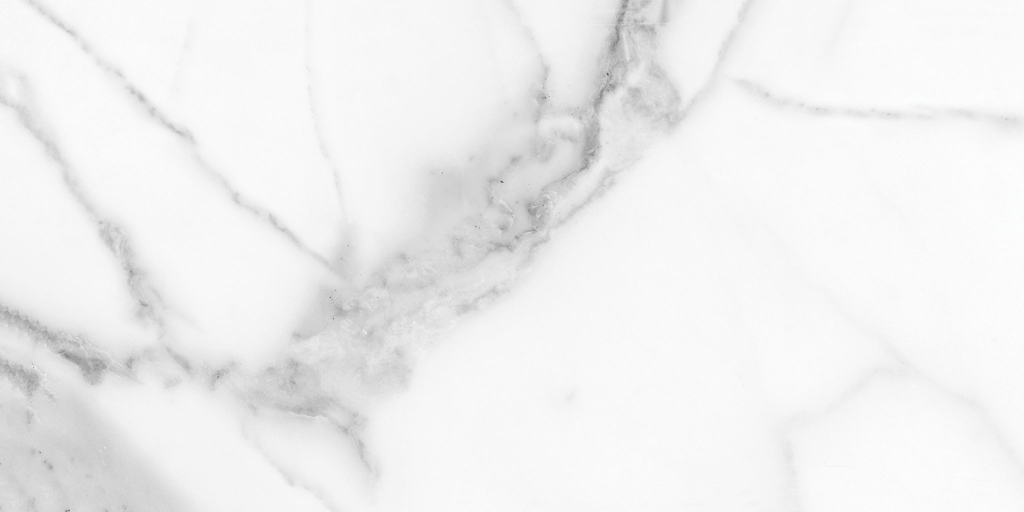 Florence 12X24F Statuario Matte | Clon Digital Tile Catalog