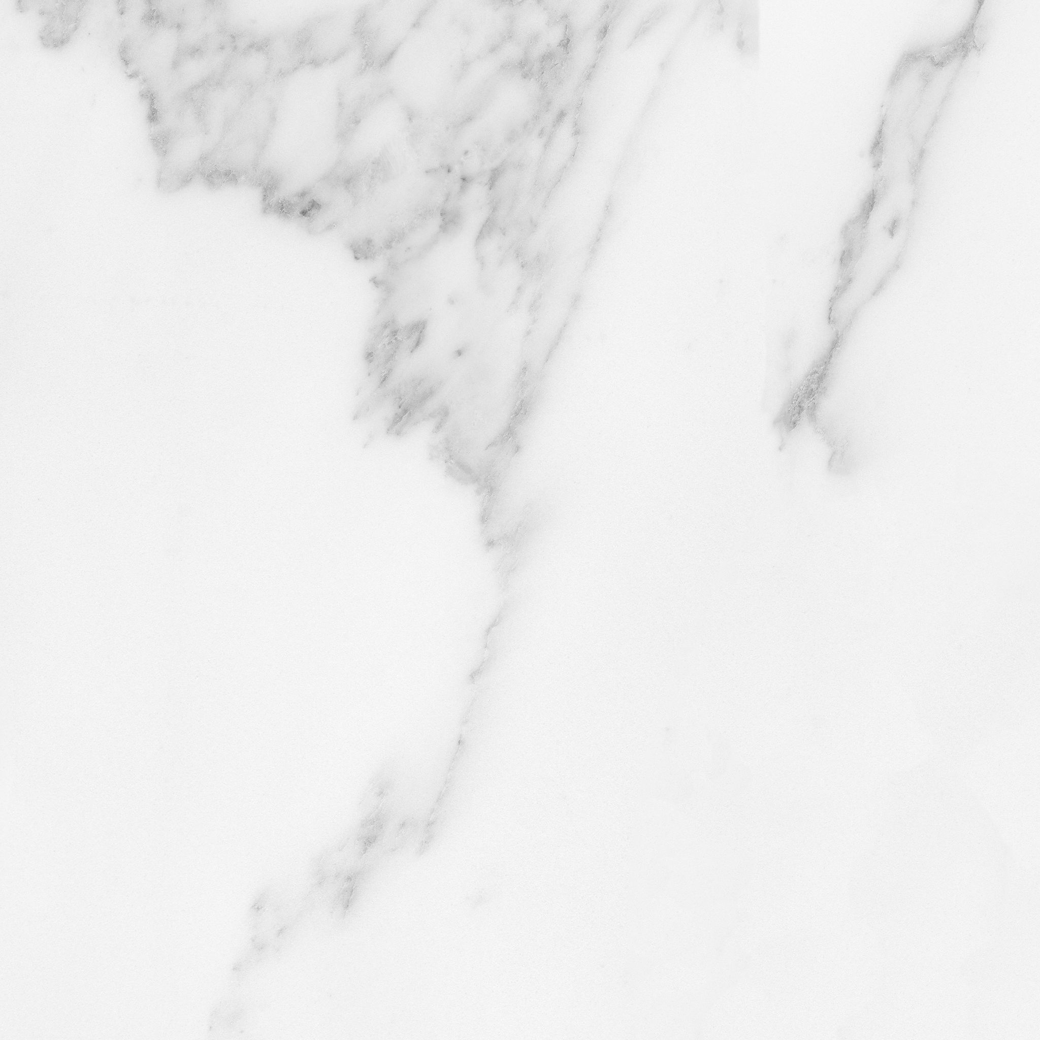 Florence 13X13F Bianco Matte | Clon Digital Tile Catalog