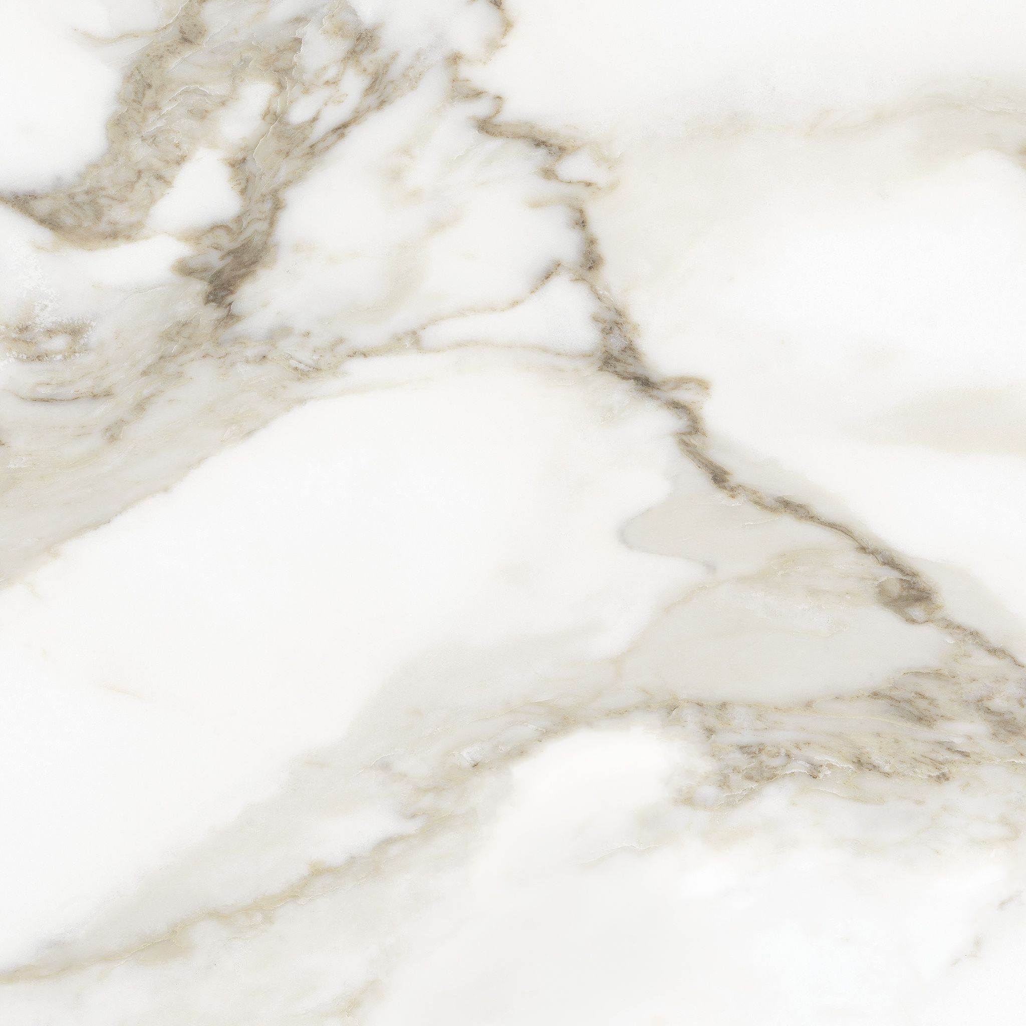 Florence 13X13F Calacatta Matte | Clon Digital Tile Catalog