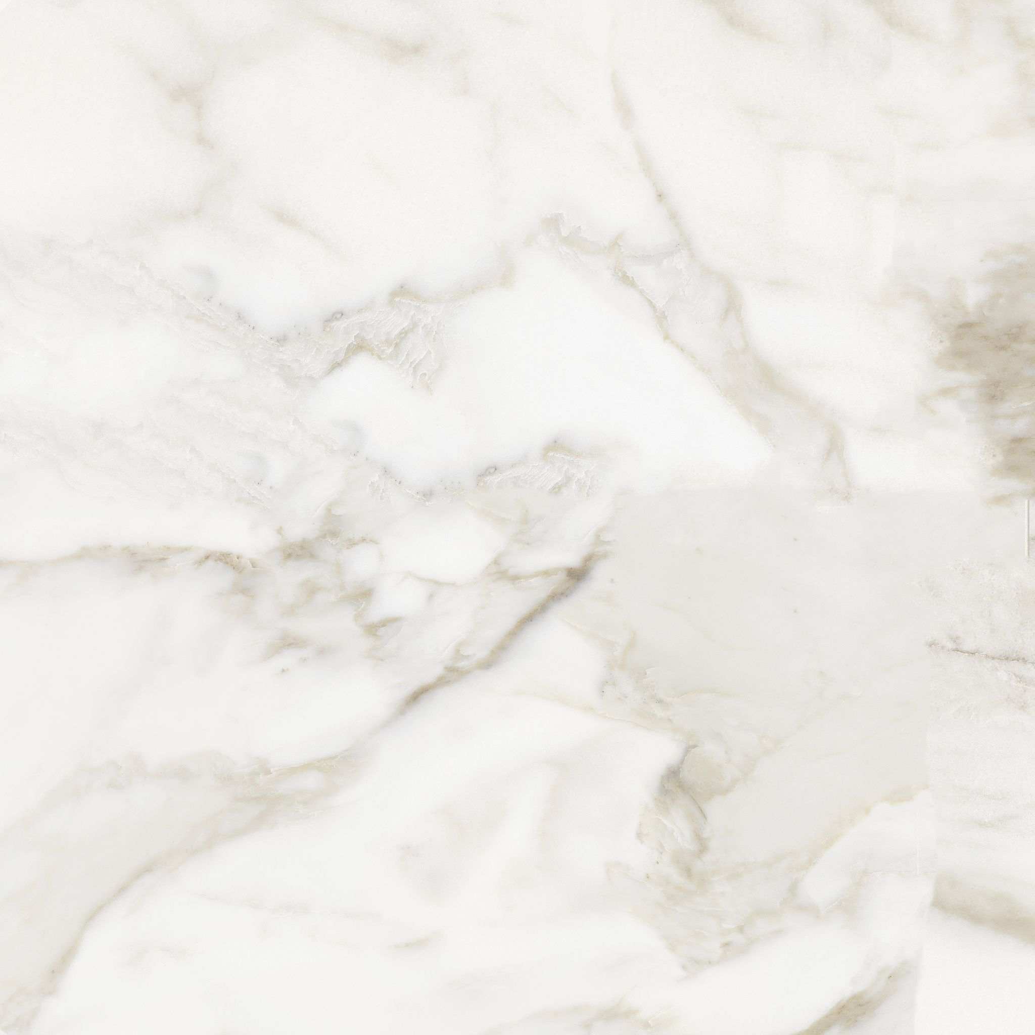 Florence 13X13F Calacatta Matte | Clon Digital Tile Catalog