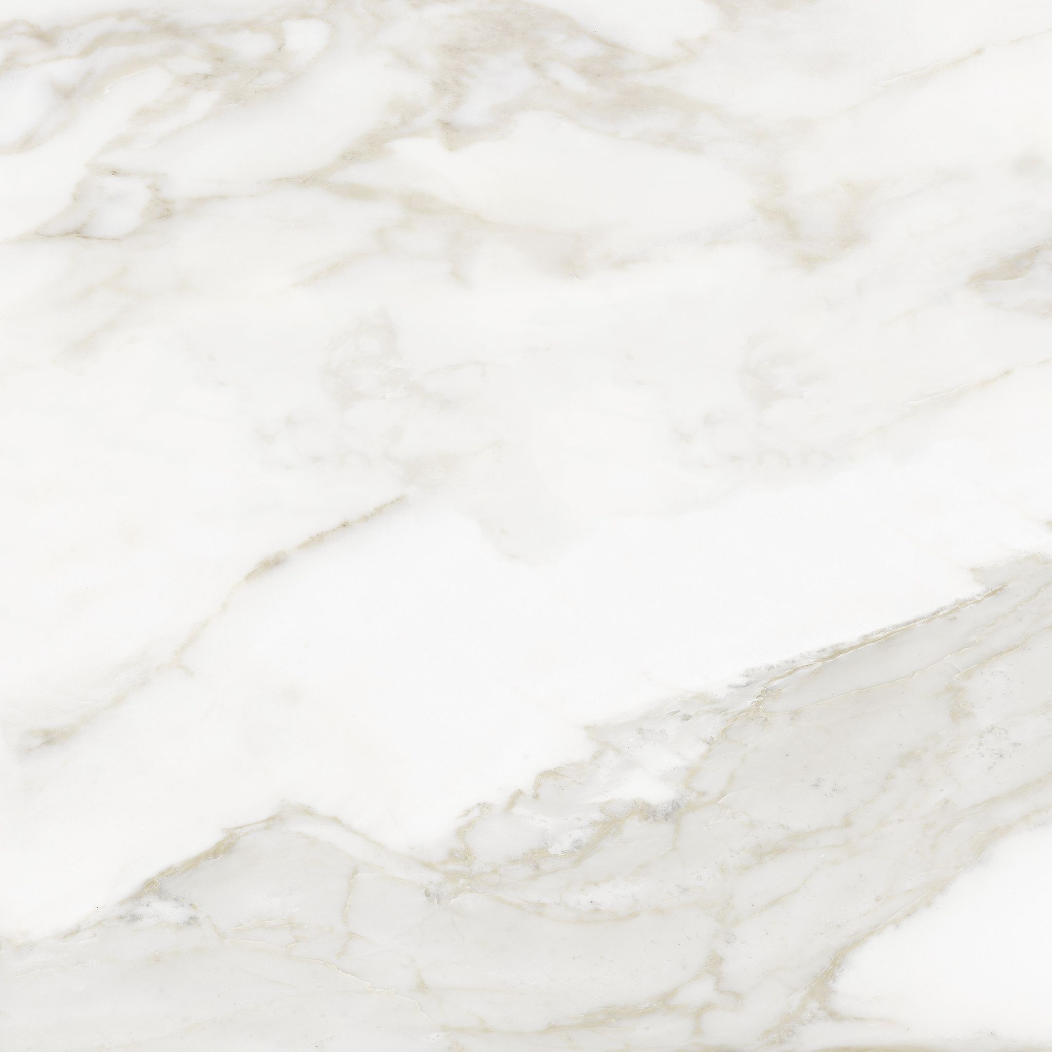 Florence 13X13F Calacatta Matte | Clon Digital Tile Catalog