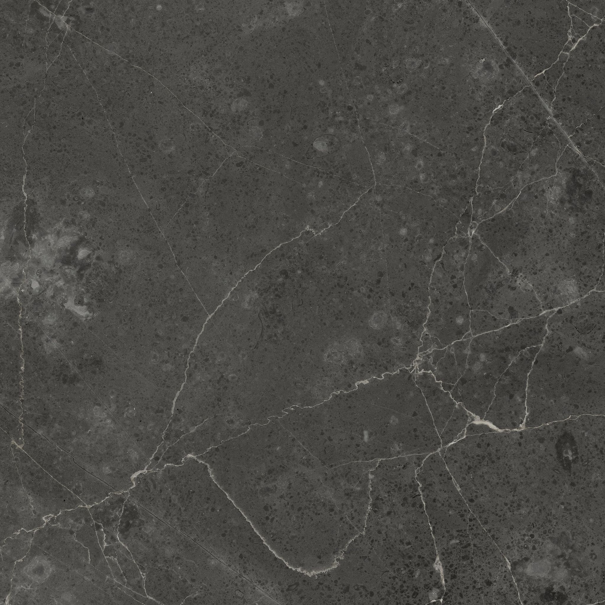 Florence 13X13F Carbon Matte | Clon Digital Tile Catalog