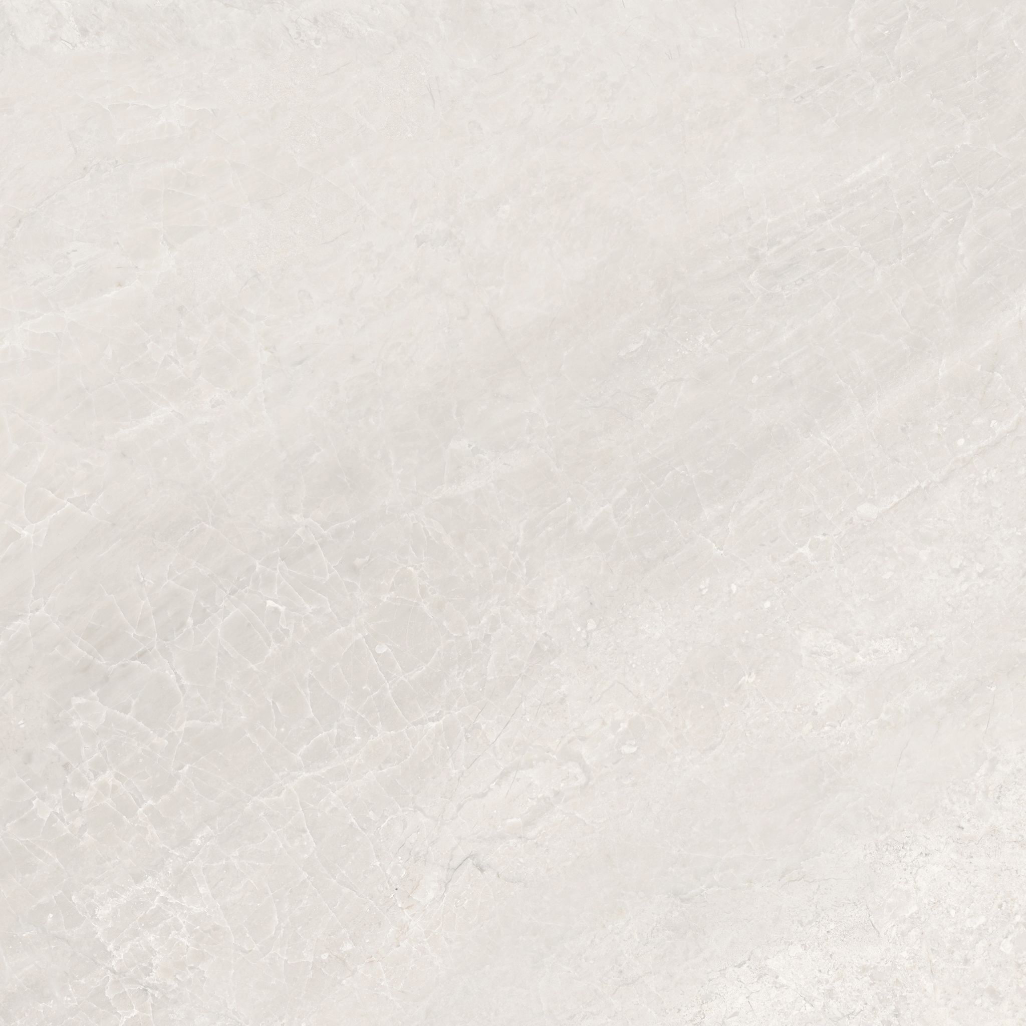 Florence 13X13F Ivory Matte | Clon Digital Tile Catalog