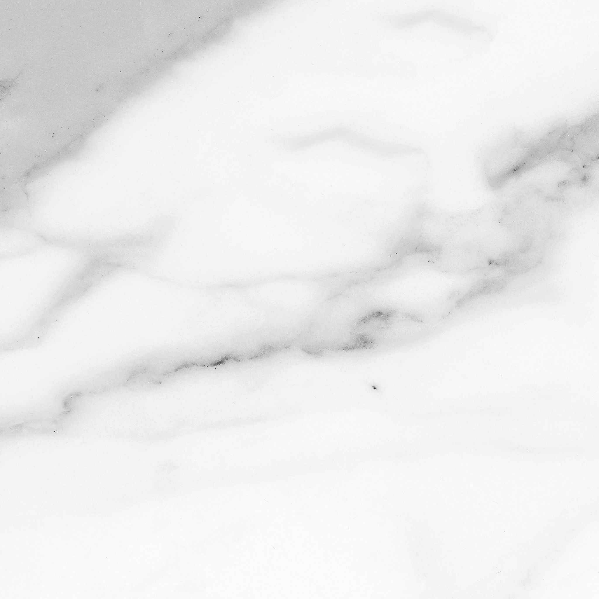 Florence 13X13F Statuario Matte | Clon Digital Tile Catalog