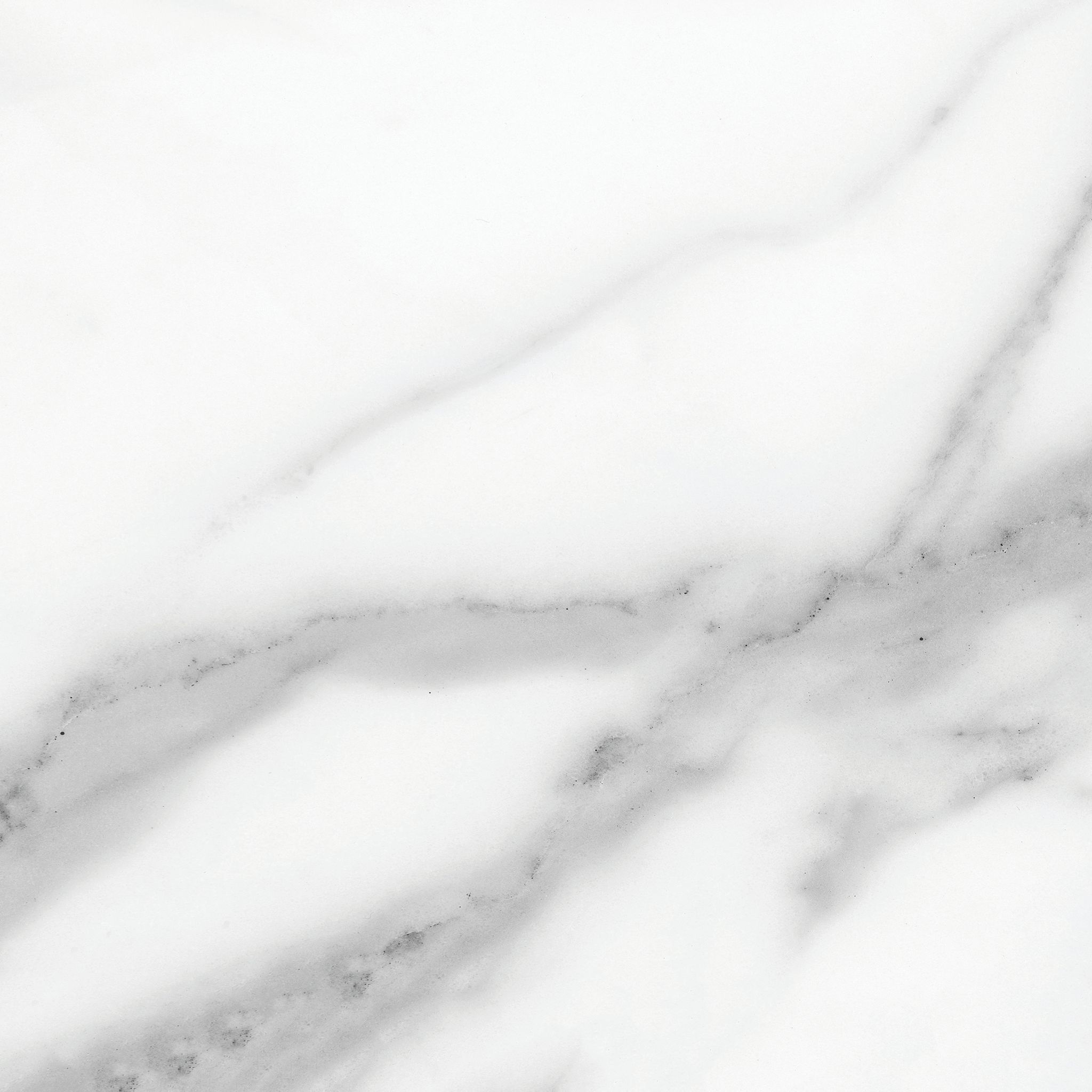 Florence 13X13F Statuario Matte | Clon Digital Tile Catalog