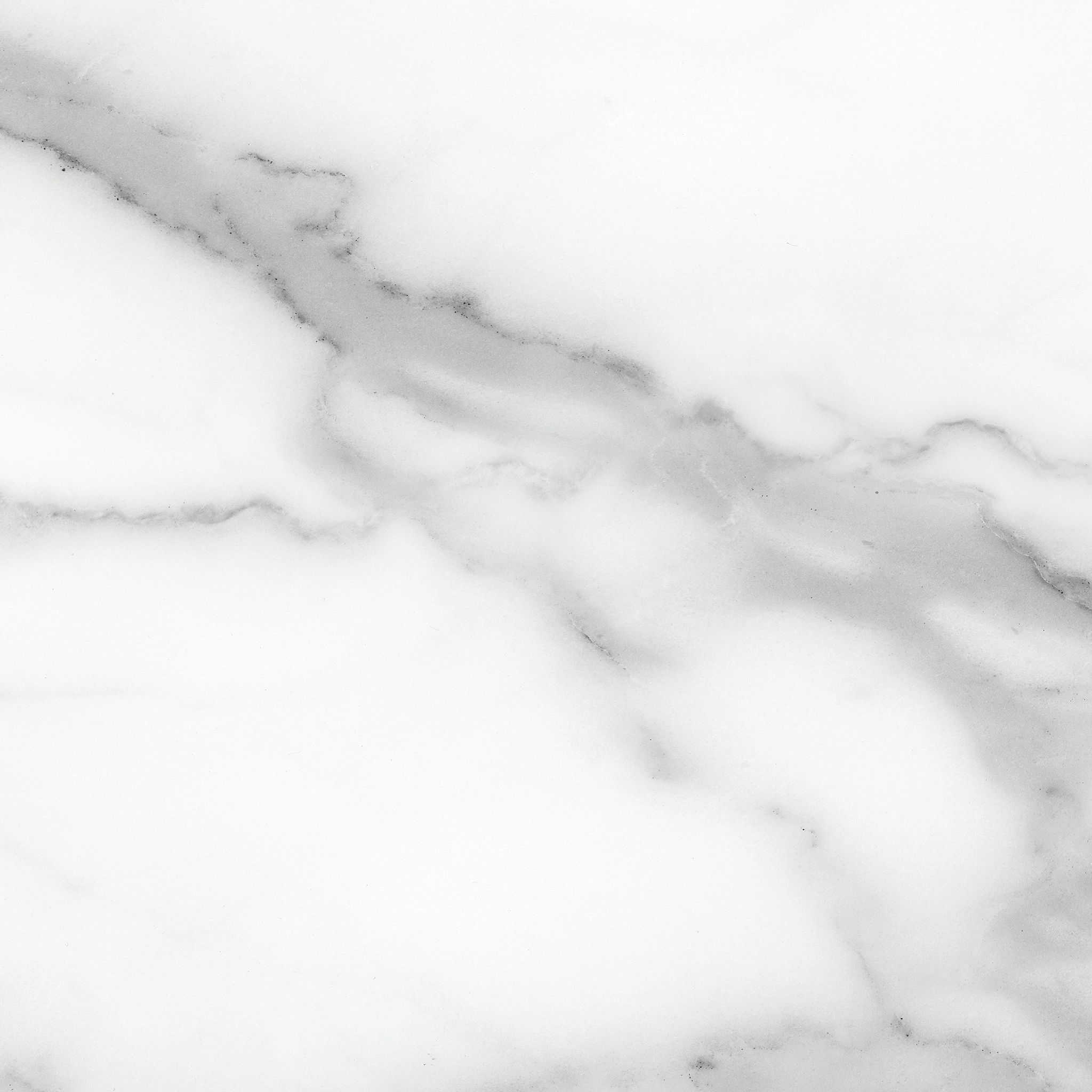 Florence 13X13F Statuario Matte | Clon Digital Tile Catalog