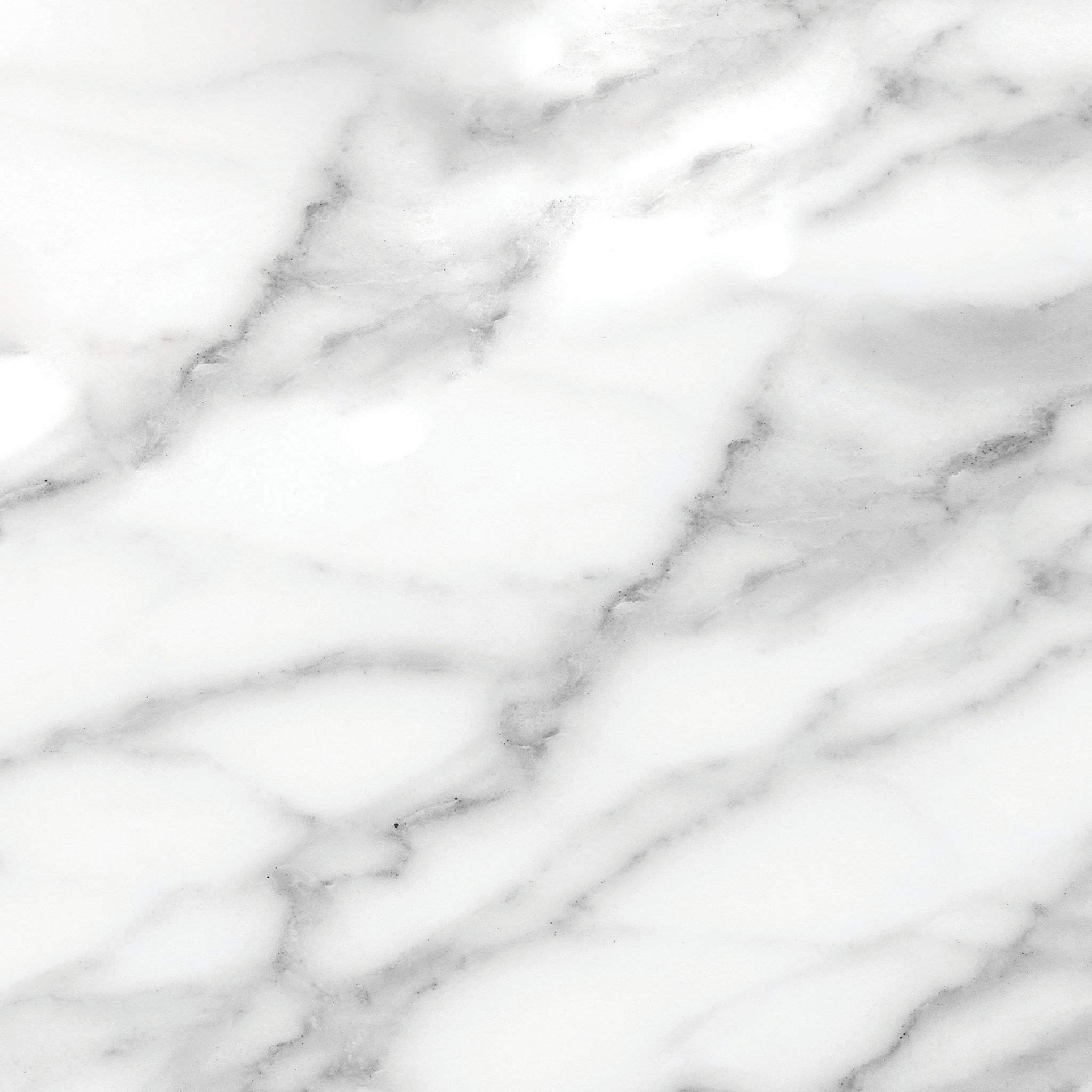 Florence 13X13F Statuario Matte | Clon Digital Tile Catalog