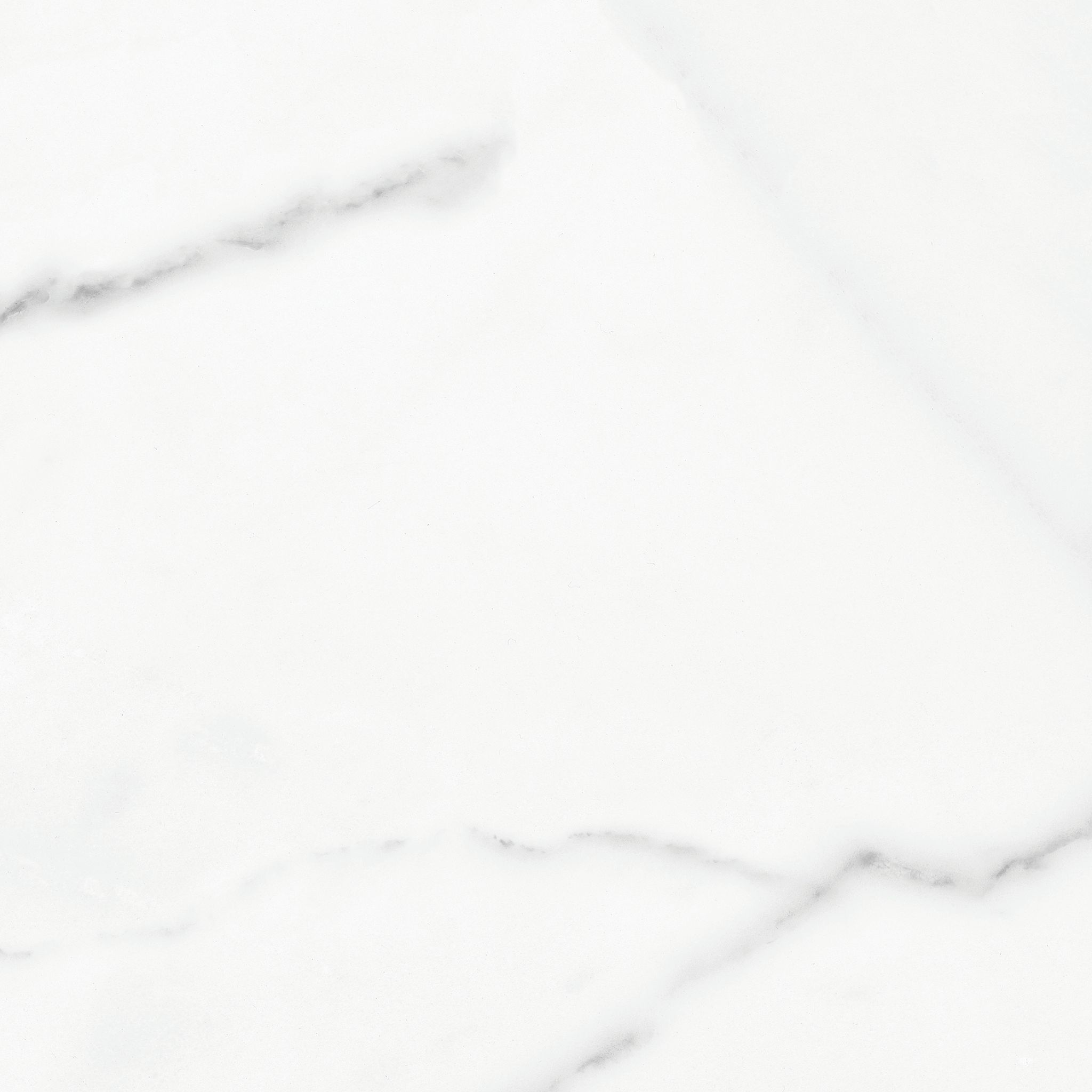 Florence 13X13F Statuario Matte | Clon Digital Tile Catalog