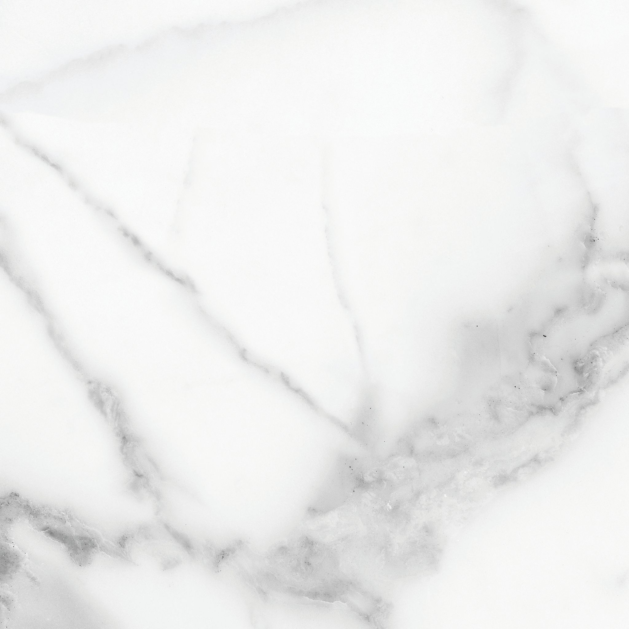 Florence 13X13F Statuario Matte | Clon Digital Tile Catalog