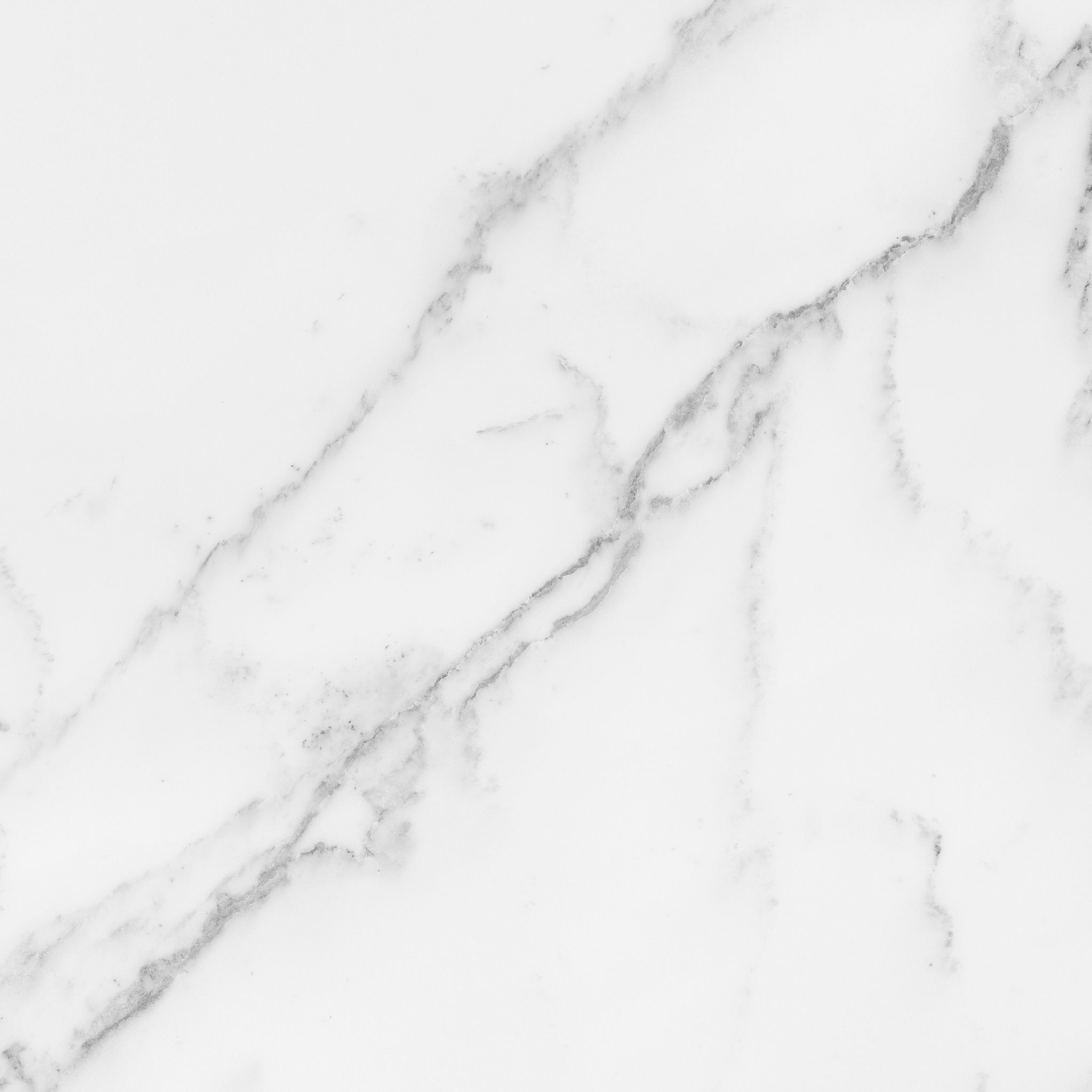 Florence 20X20F Bianco Matte | Clon Digital Tile Catalog