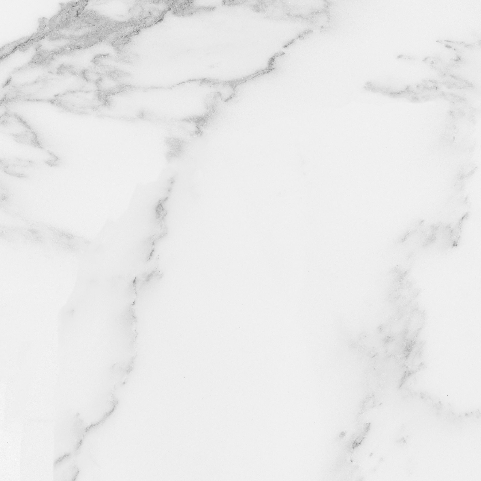 Florence 20X20F Bianco Matte | Clon Digital Tile Catalog