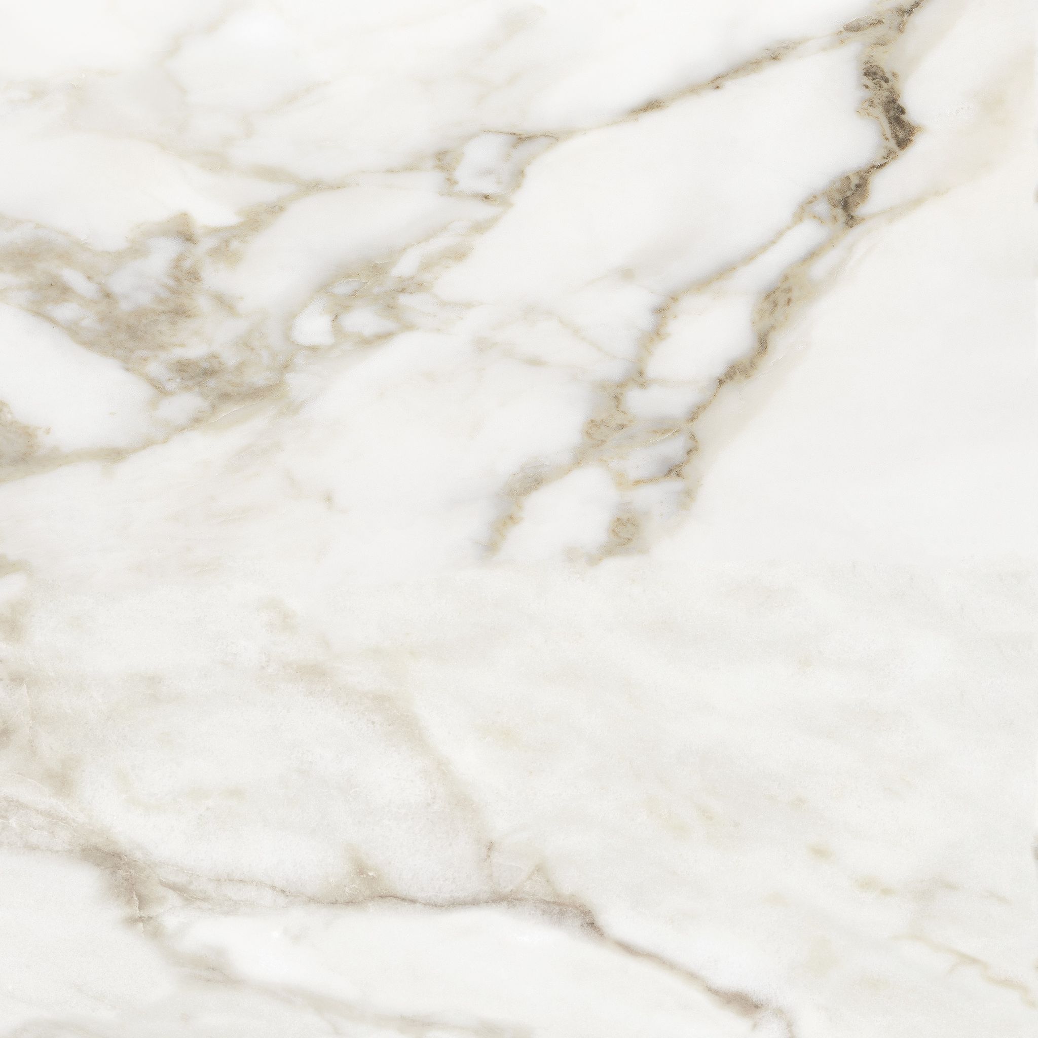 Florence 20X20F Calacatta Matte | Clon Digital Tile Catalog