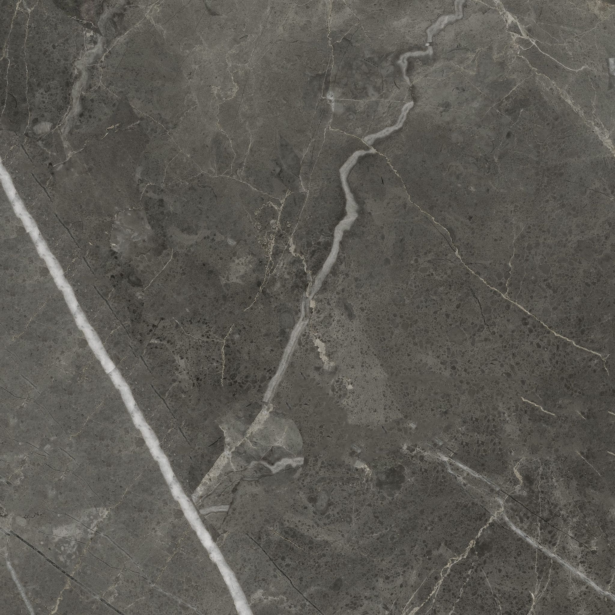 Florence 20X20F Carbon Matte | Clon Digital Tile Catalog