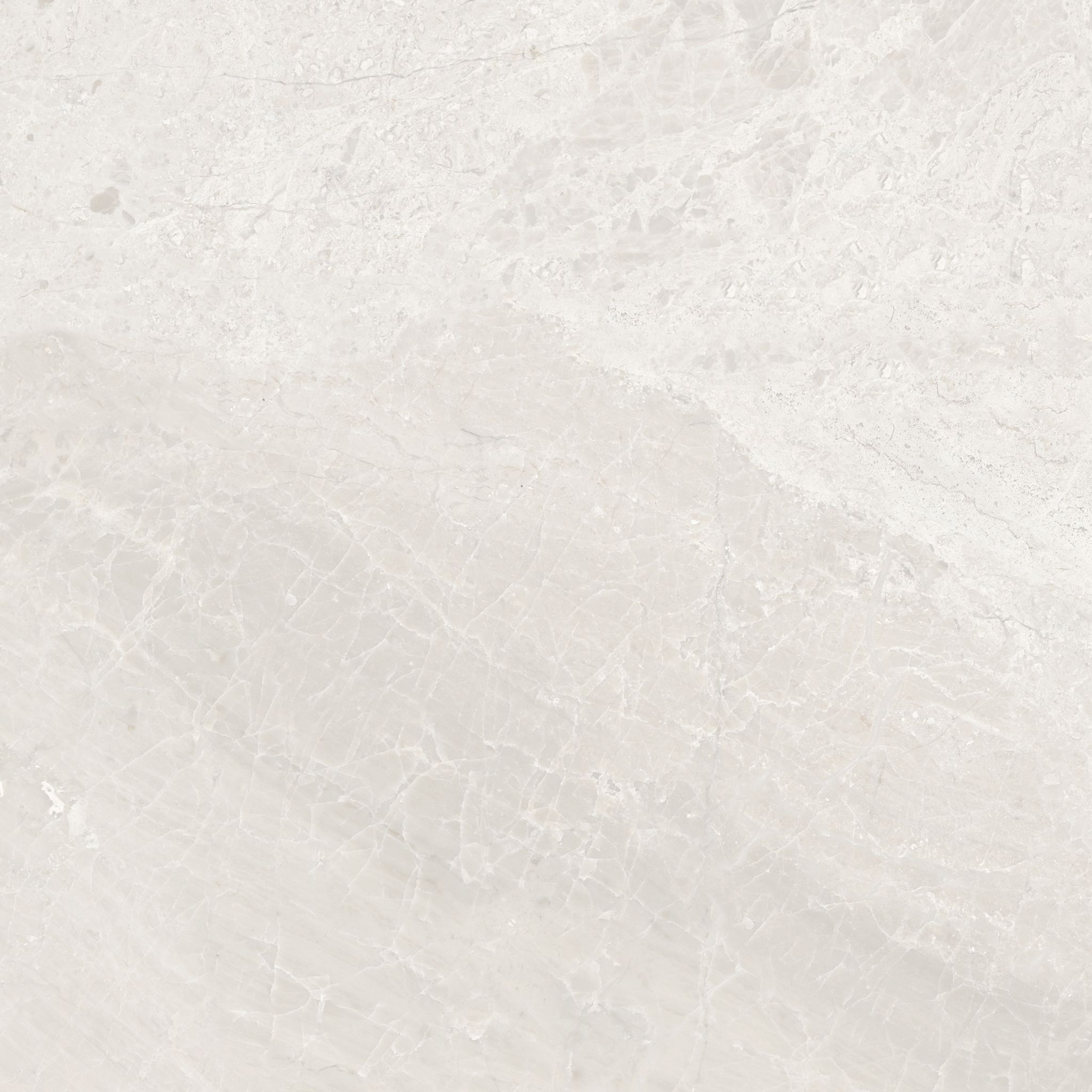 Florence 20X20F Ivory Matte | Clon Digital Tile Catalog