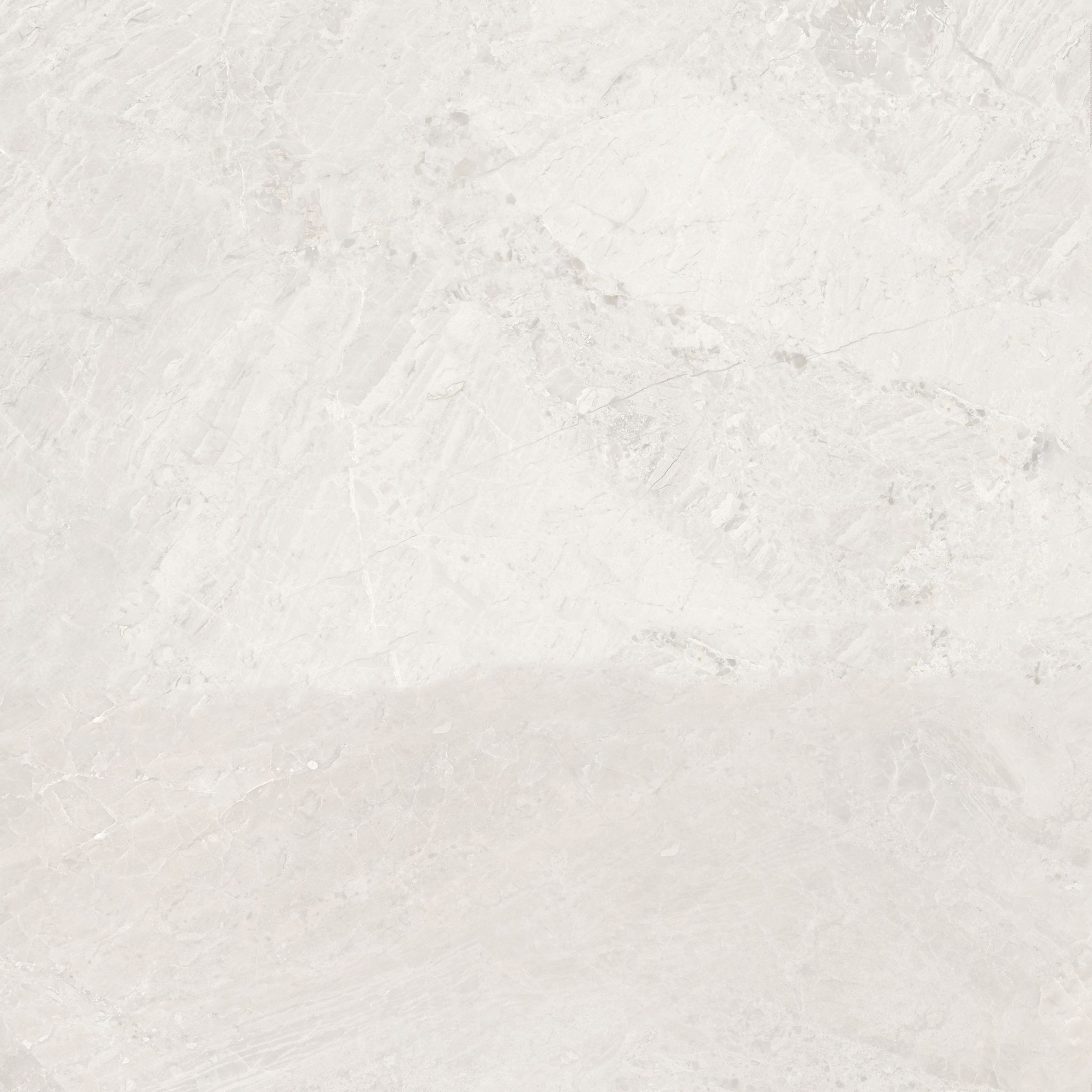 Florence 20X20F Ivory Matte | Clon Digital Tile Catalog