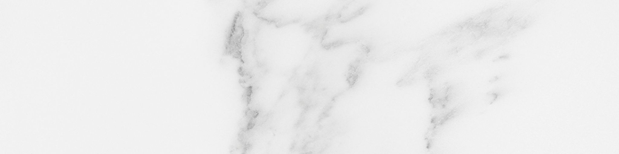 Florence 3x12 Bianco Matte Bullnose | Clon Digital Tile Catalog