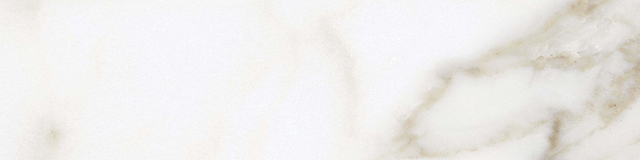 Florence 3x12 Calacatta Matte Bullnose | Clon Digital Tile Catalog