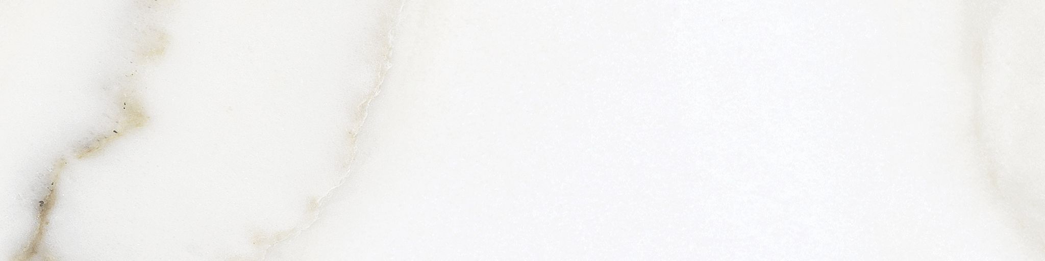 Florence 3x12 Calacatta Matte Bullnose | Clon Digital Tile Catalog