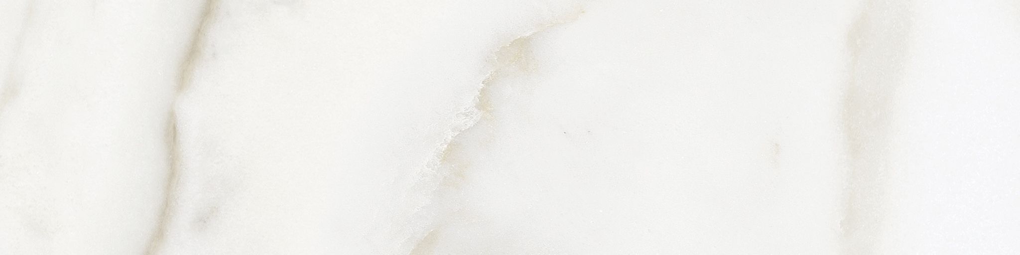 Florence 3x12 Calacatta Matte Bullnose | Clon Digital Tile Catalog